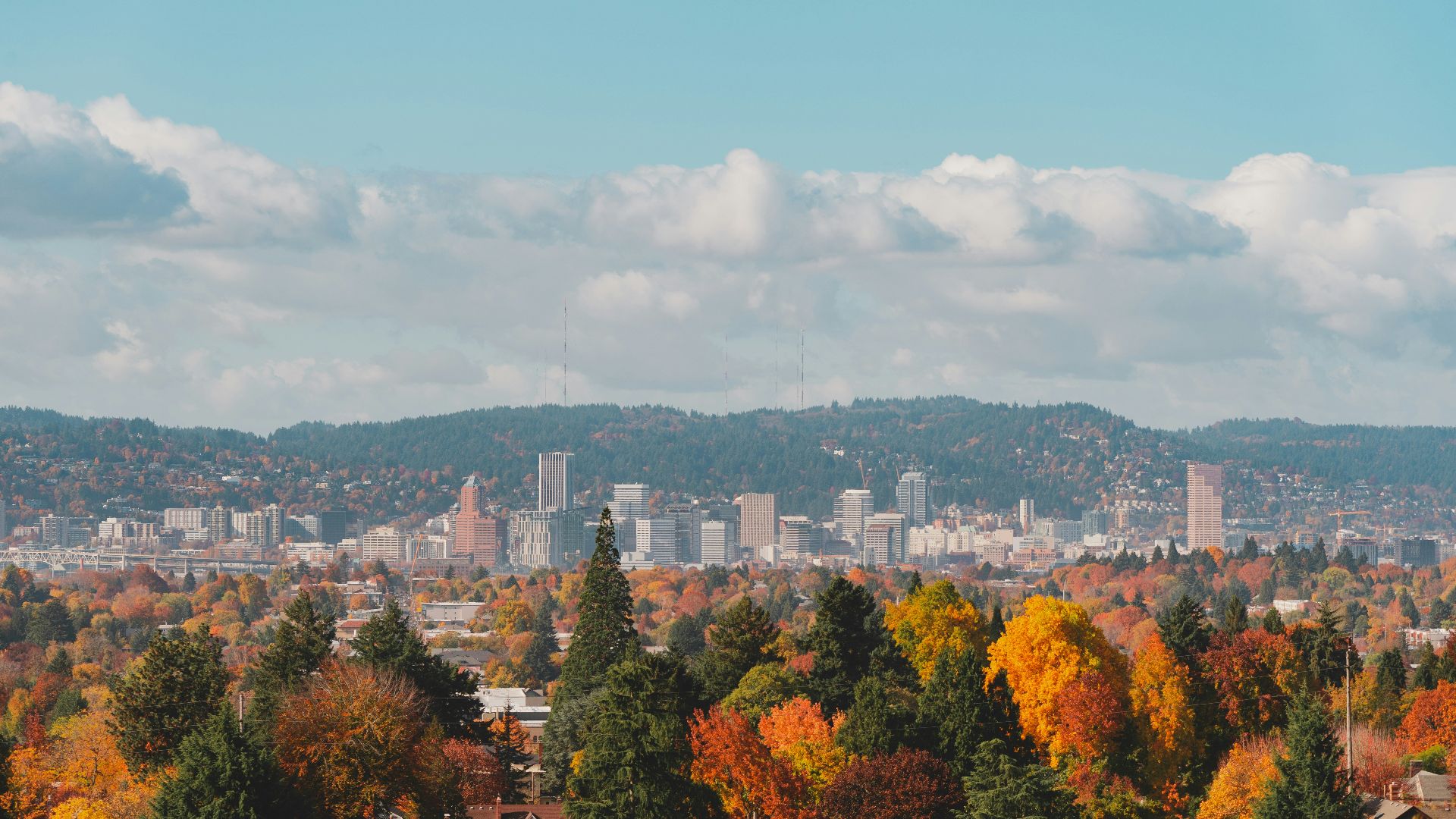 aerial view of buildings and trees during daytime