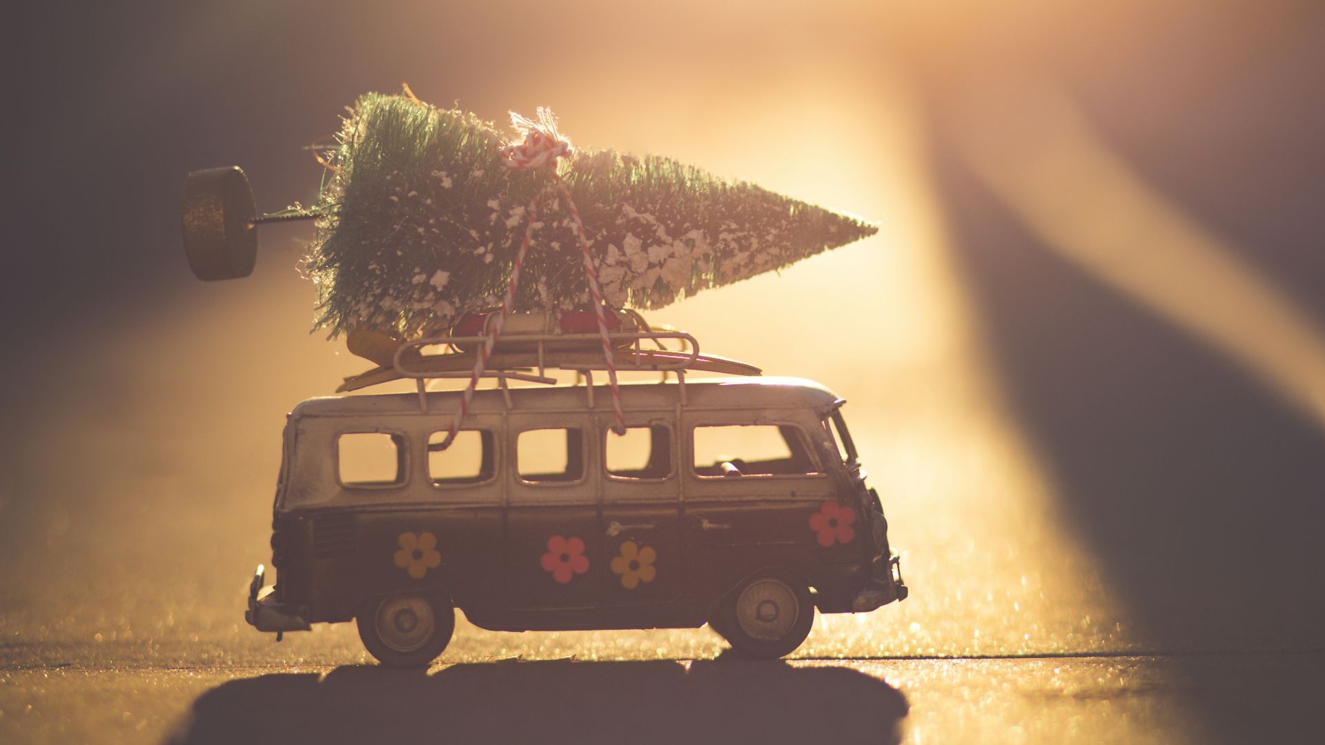 white and black bus with green pine tree scale model