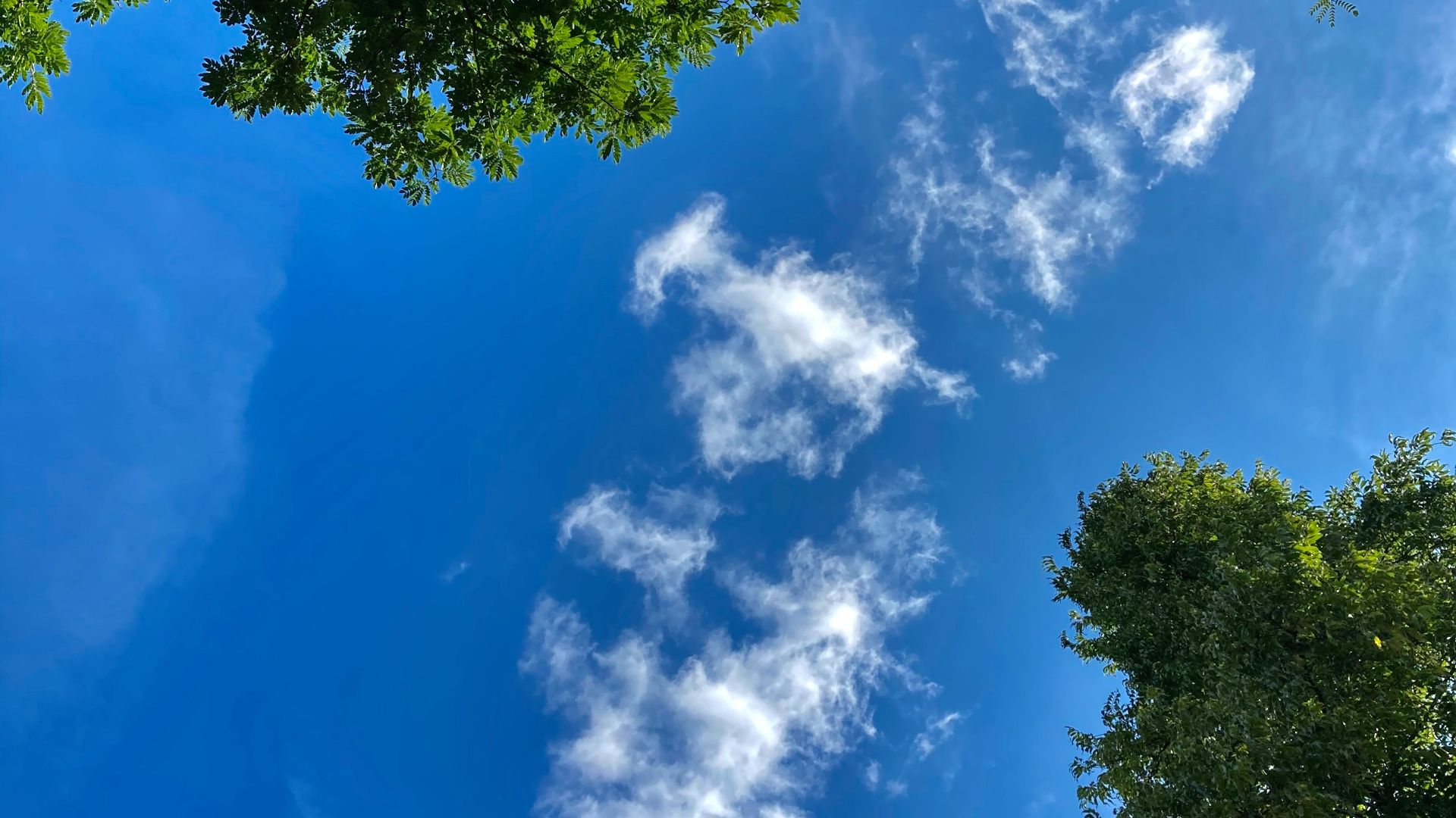 a blue sky with some clouds and some trees