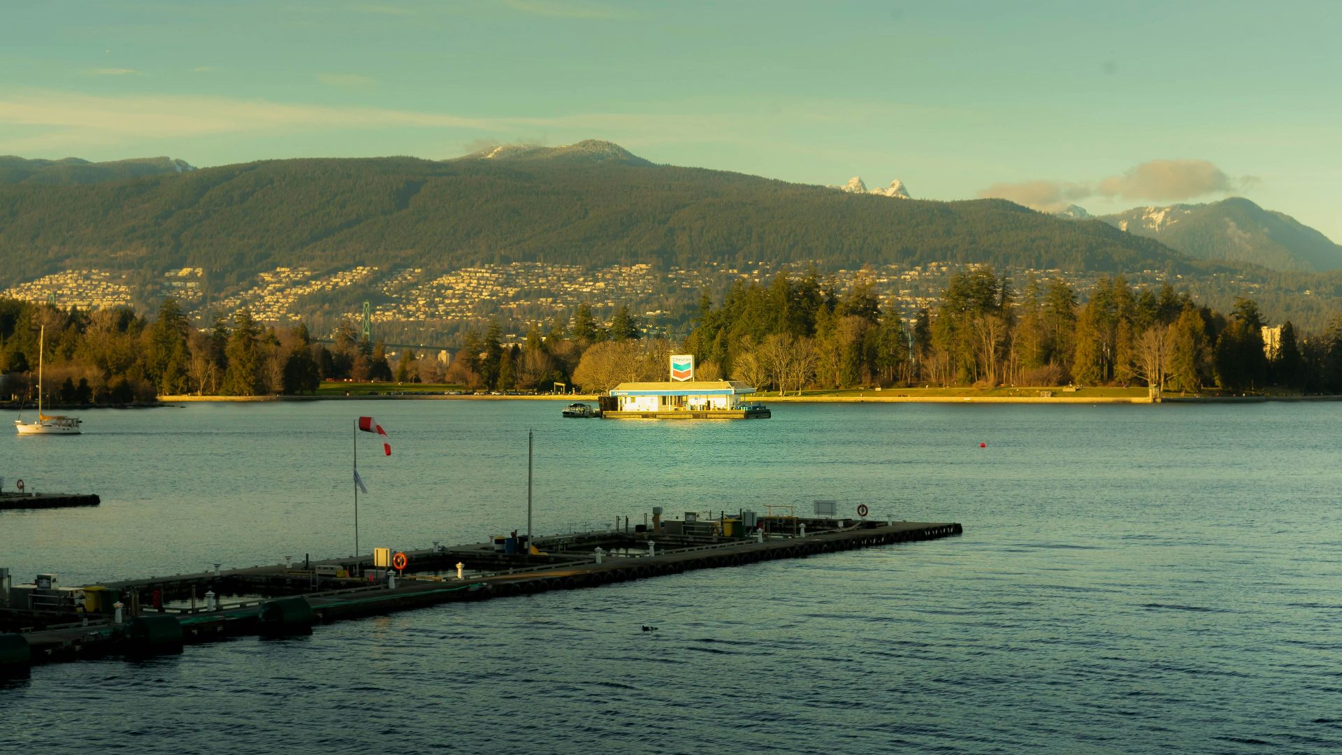 The harbor is surrounded by mountains and trees.