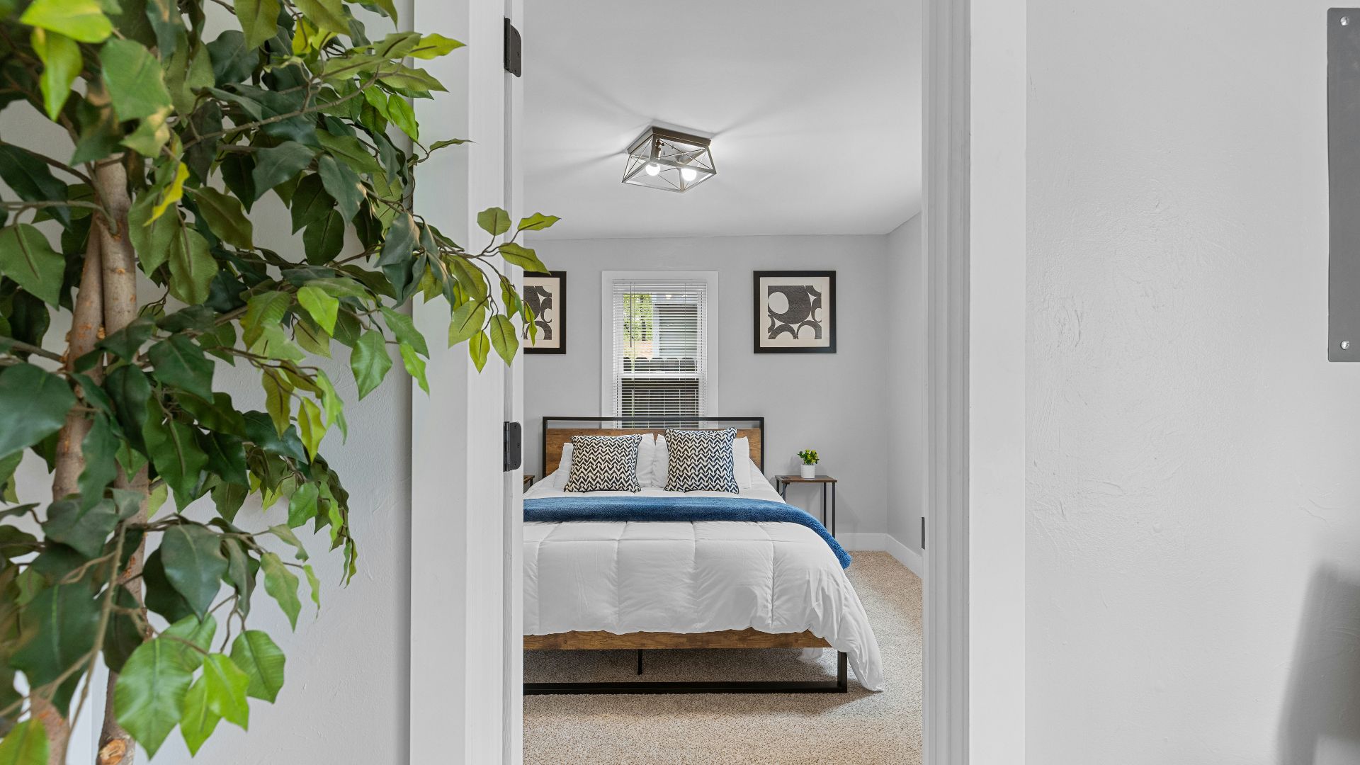 a bedroom with a bed and a plant in the corner