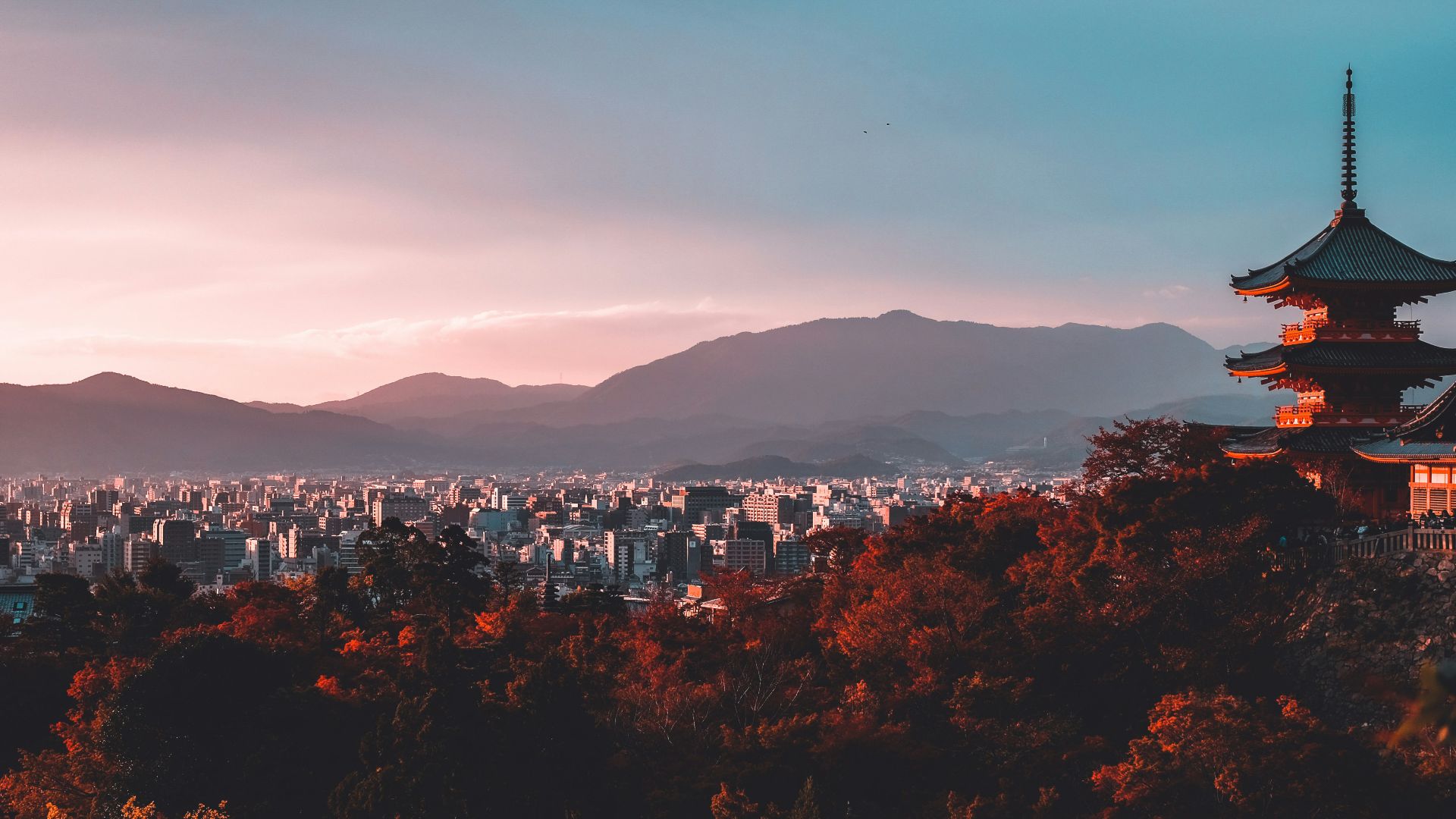 pagoda surrounded by trees