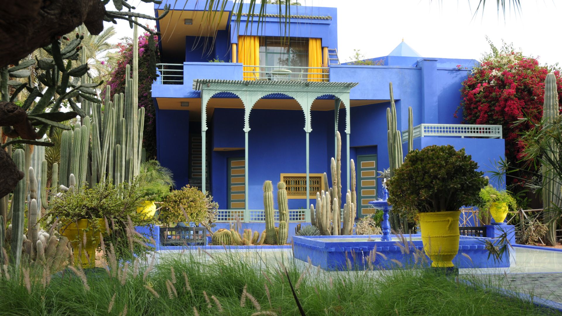 File:Le jardin des majorelle 20.JPG