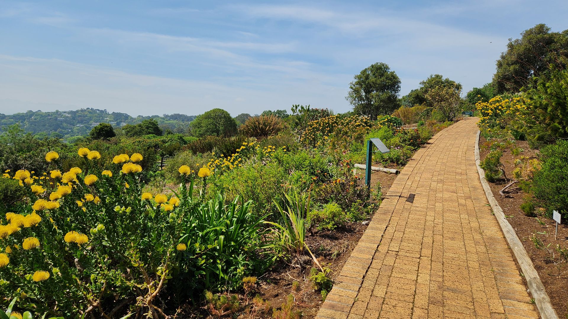 File:Kirstenbosch National Botanical Garden 2024 4th upload 05.jpg