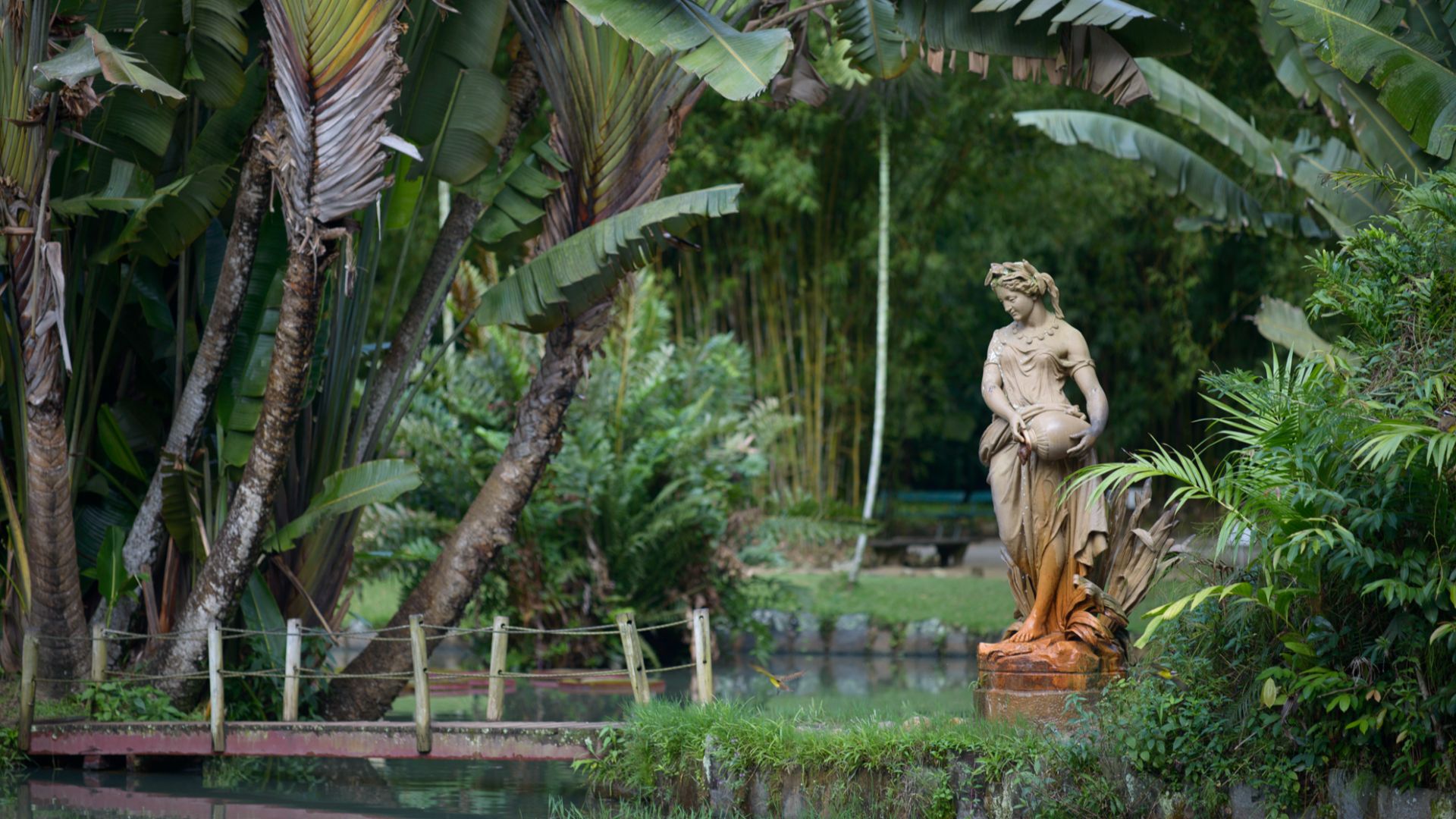 File:Jardim Botânico do Rio de Janeiro - 130716-7093-jikatu (9345331480).jpg
