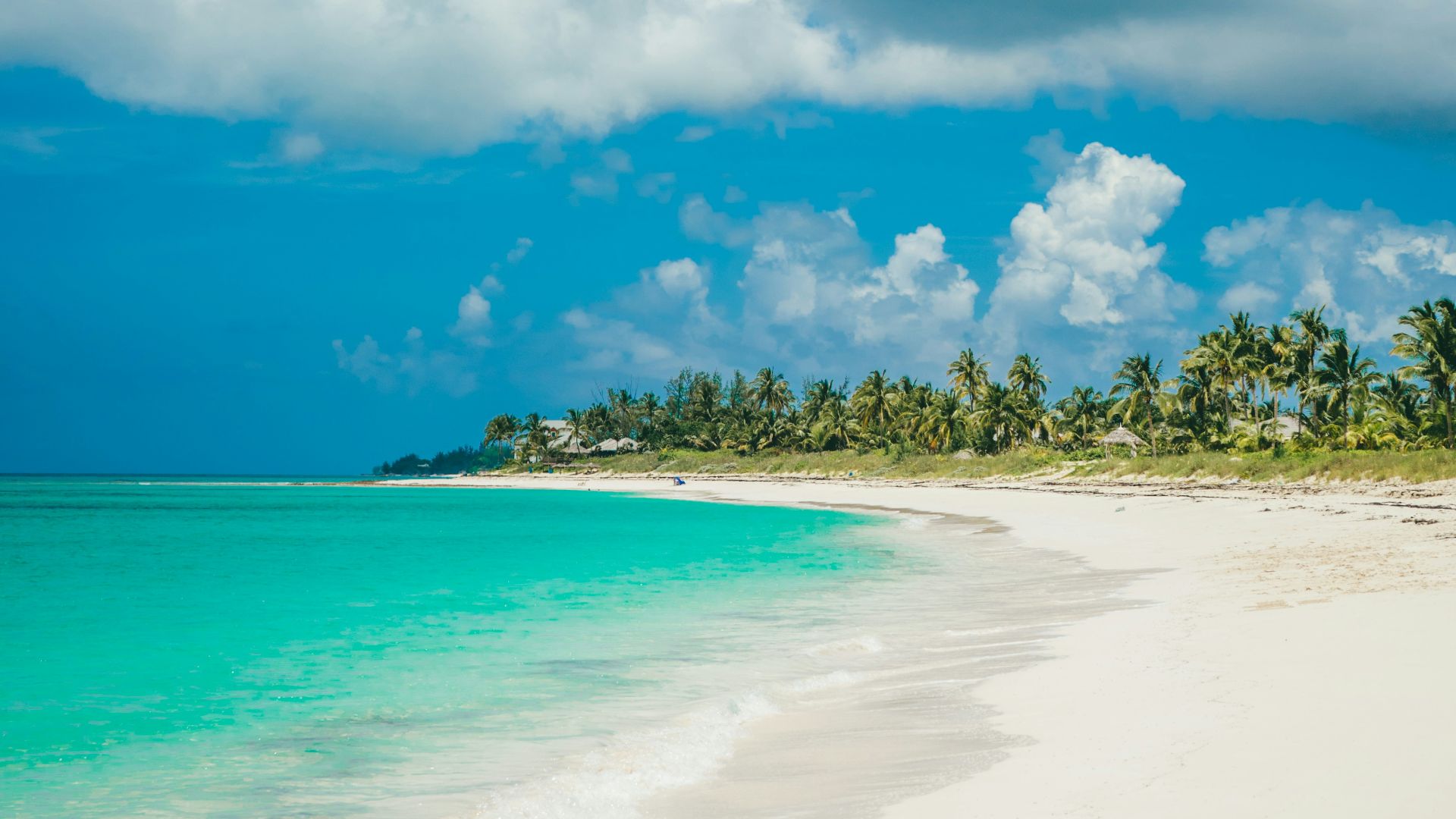 seashore during daytime