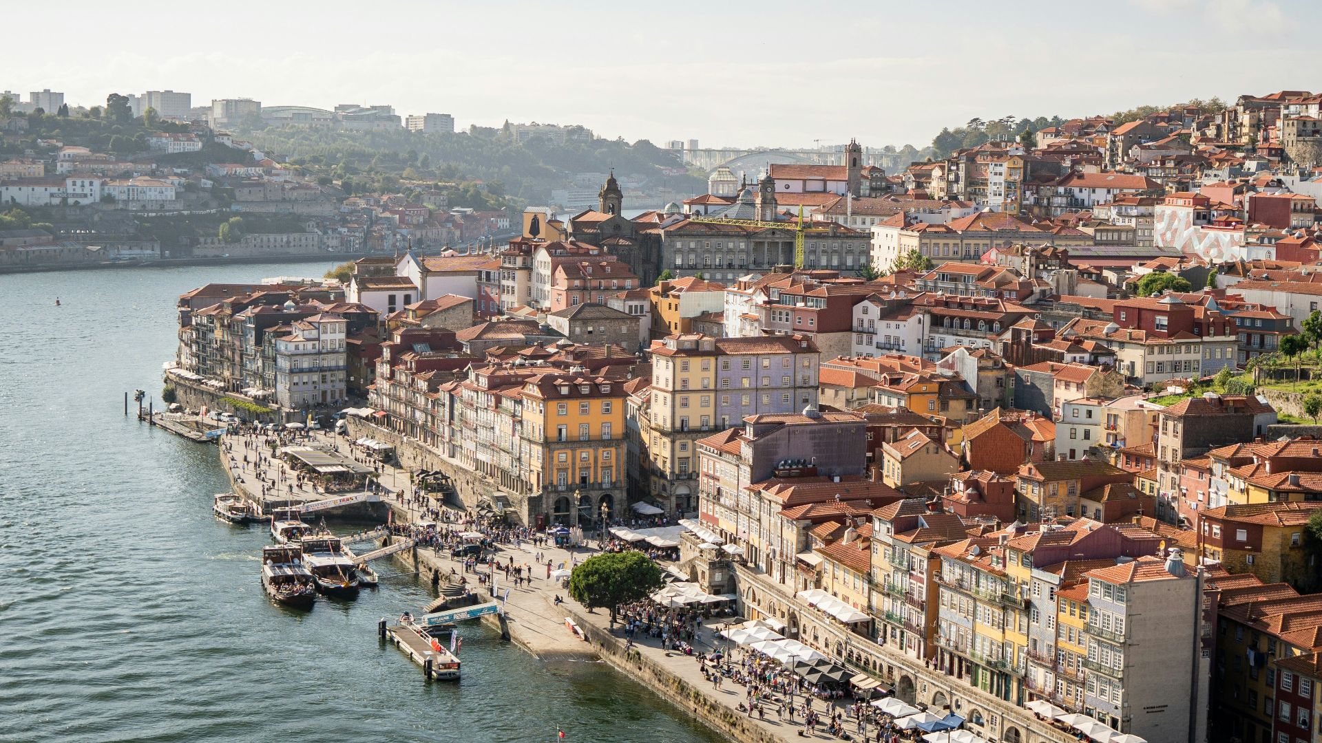 aerial photo of houses
