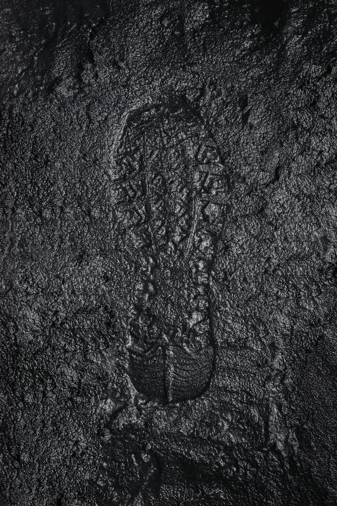 A black and white photo of a foot print on a rock