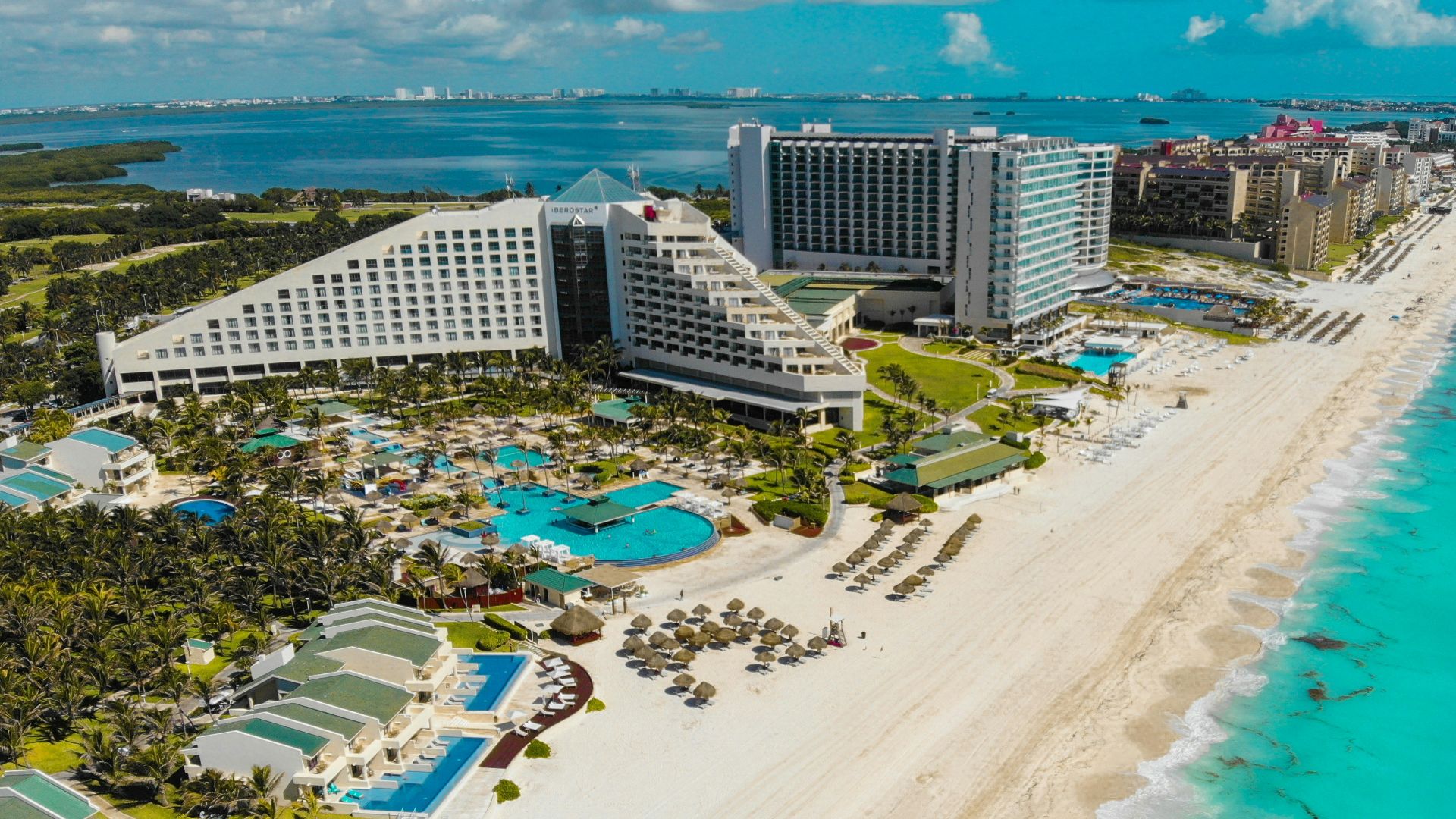 aerial view of people on beach during daytime