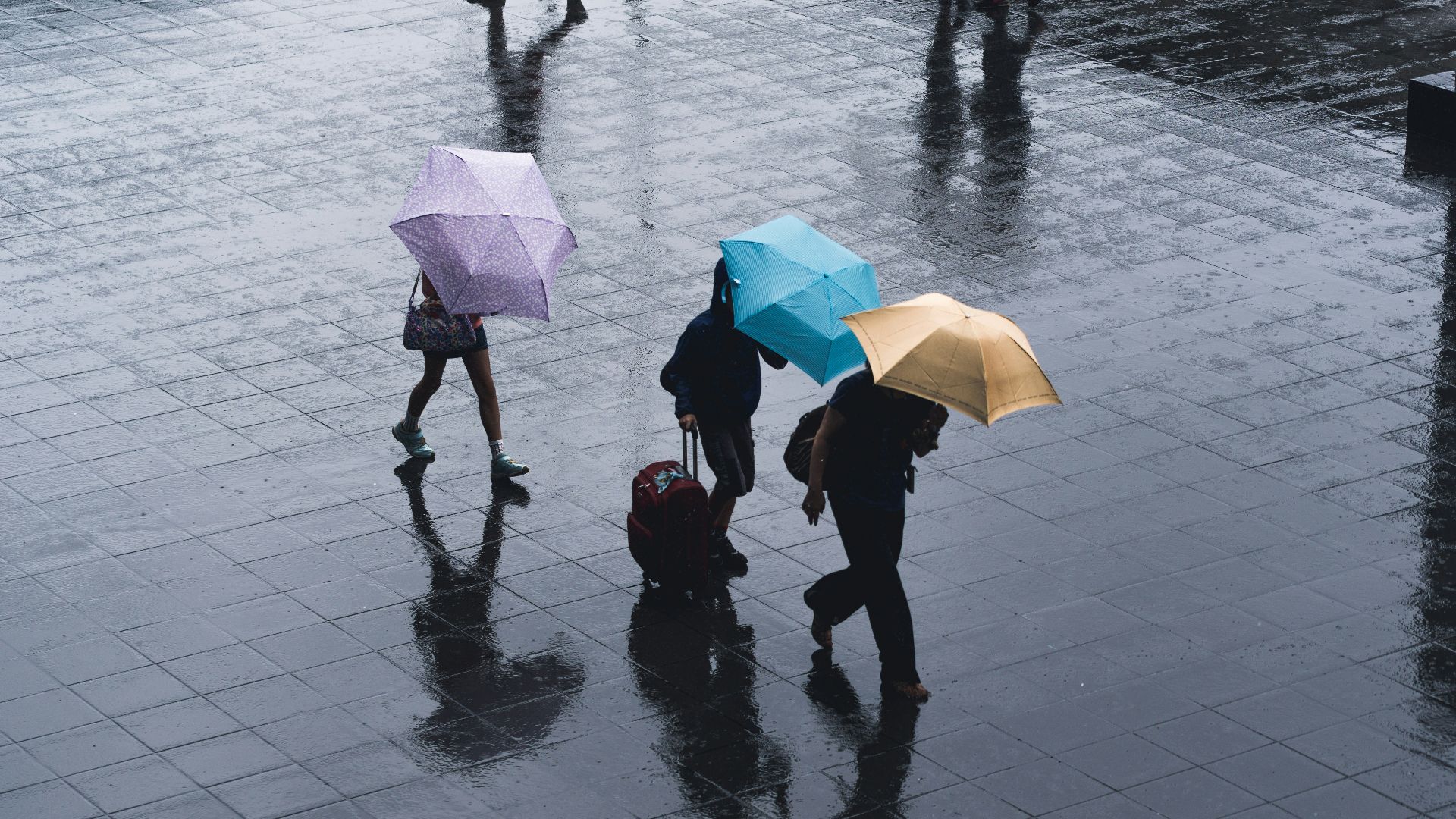selective color photography of three person holding umbrellas under the rain