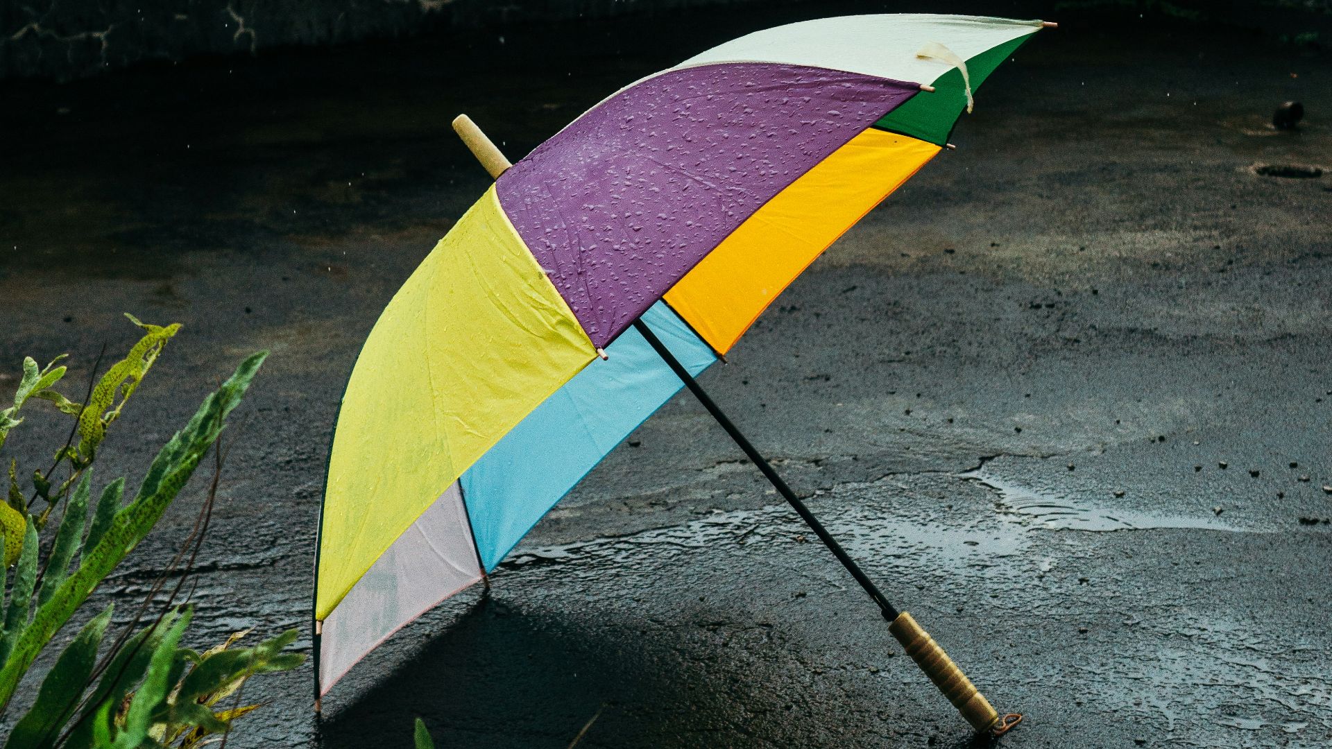 a colorful umbrella sitting on top of a wet ground