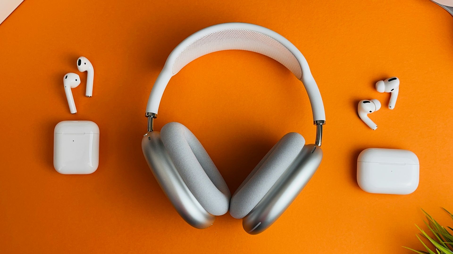 white and gray wireless headphones