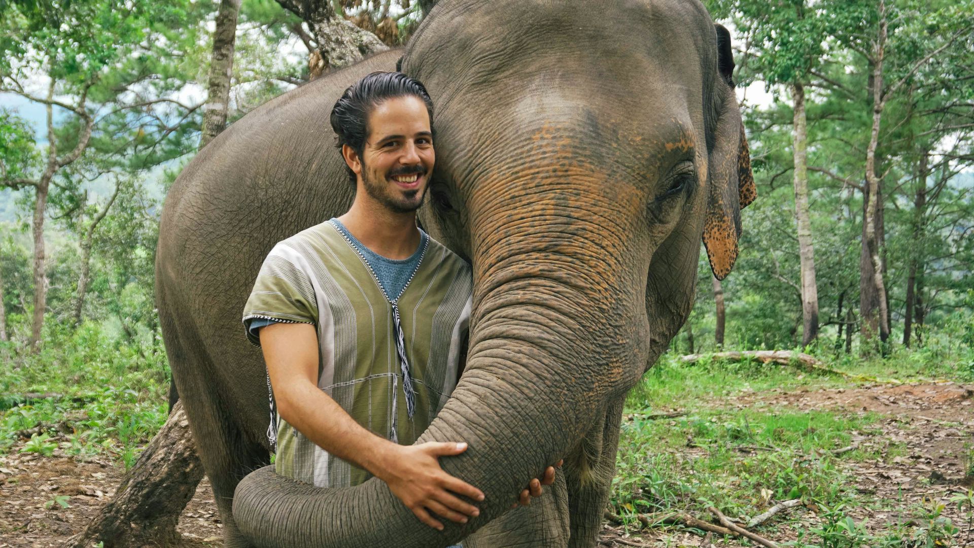 A man standing next to an elephant in a forest