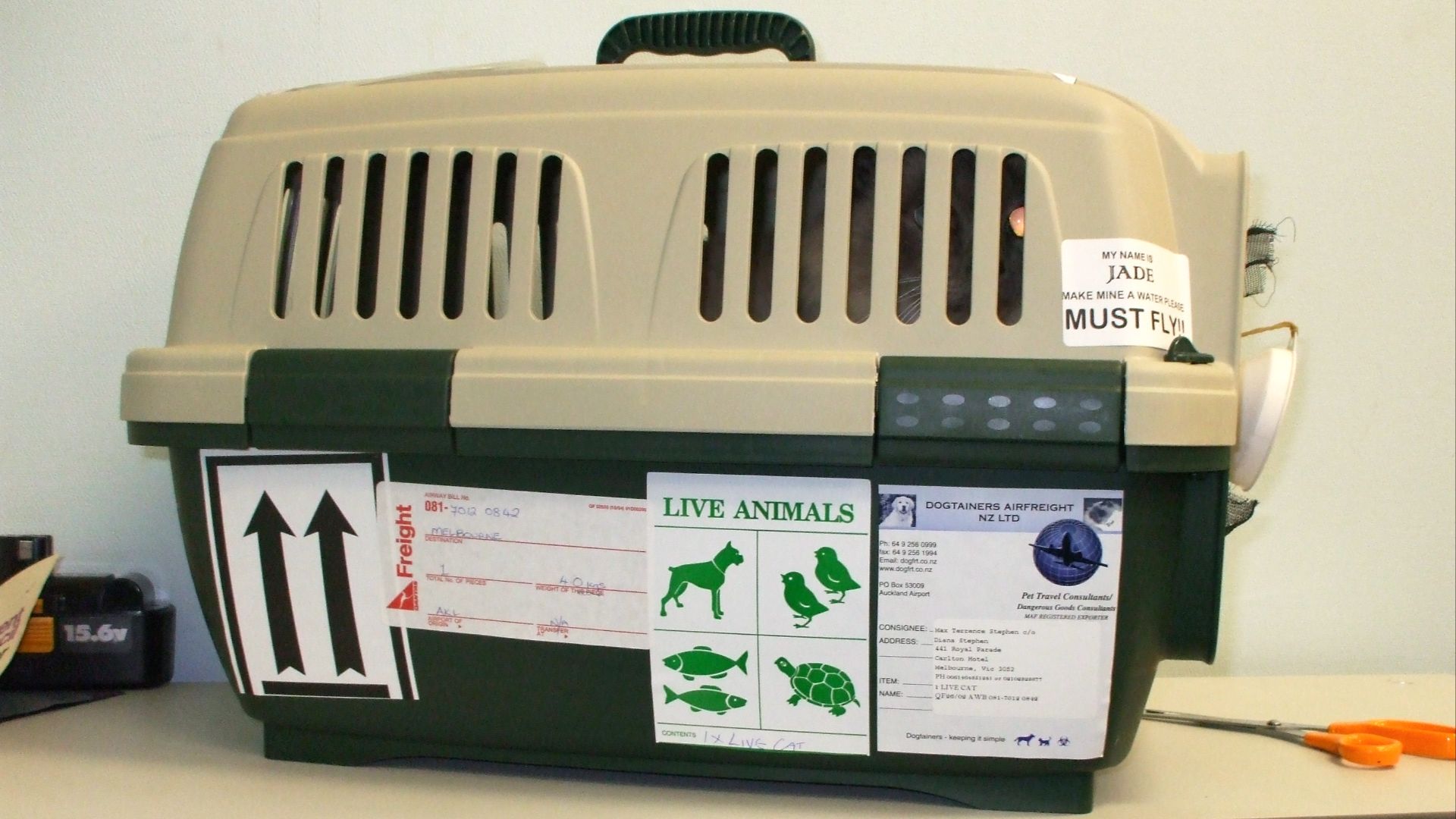 File:Dogtainers Pet Transport Clipper Cat Cage Plastic Travel Crate Labelled.jpg