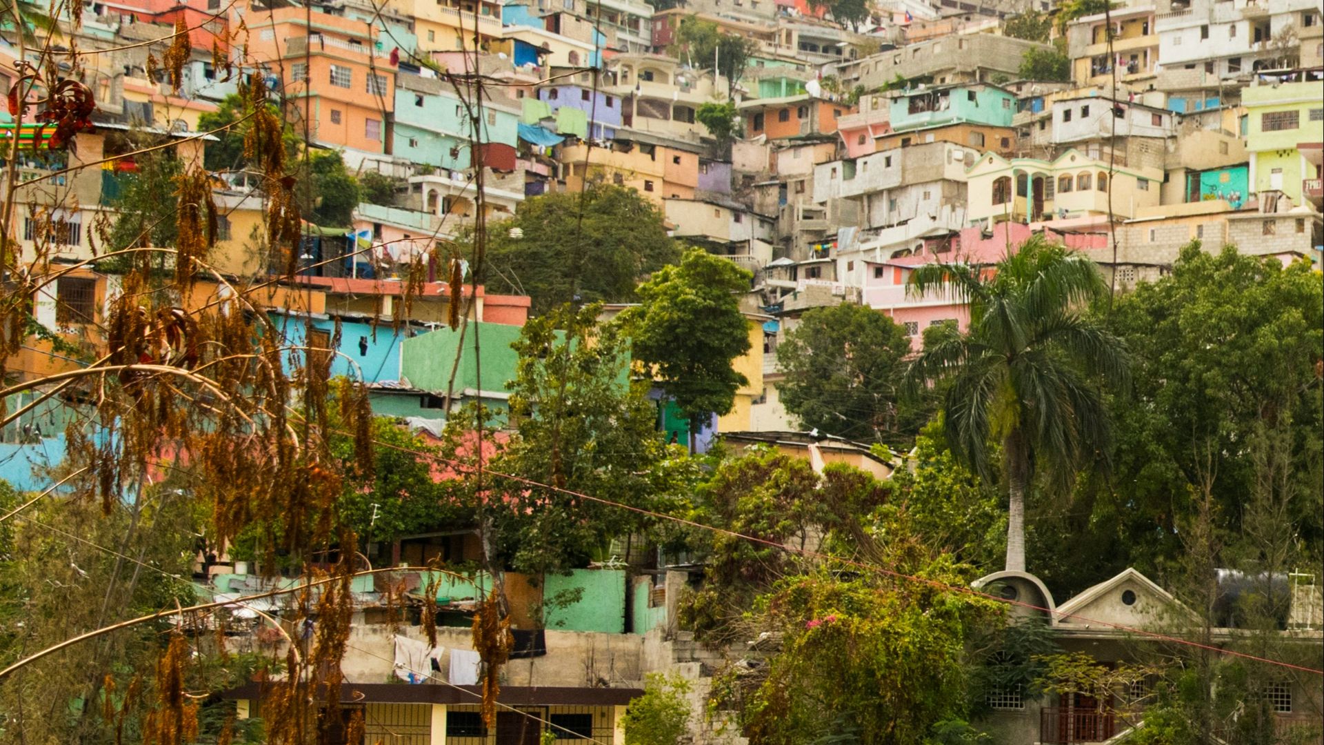 green trees near white concrete building during daytime