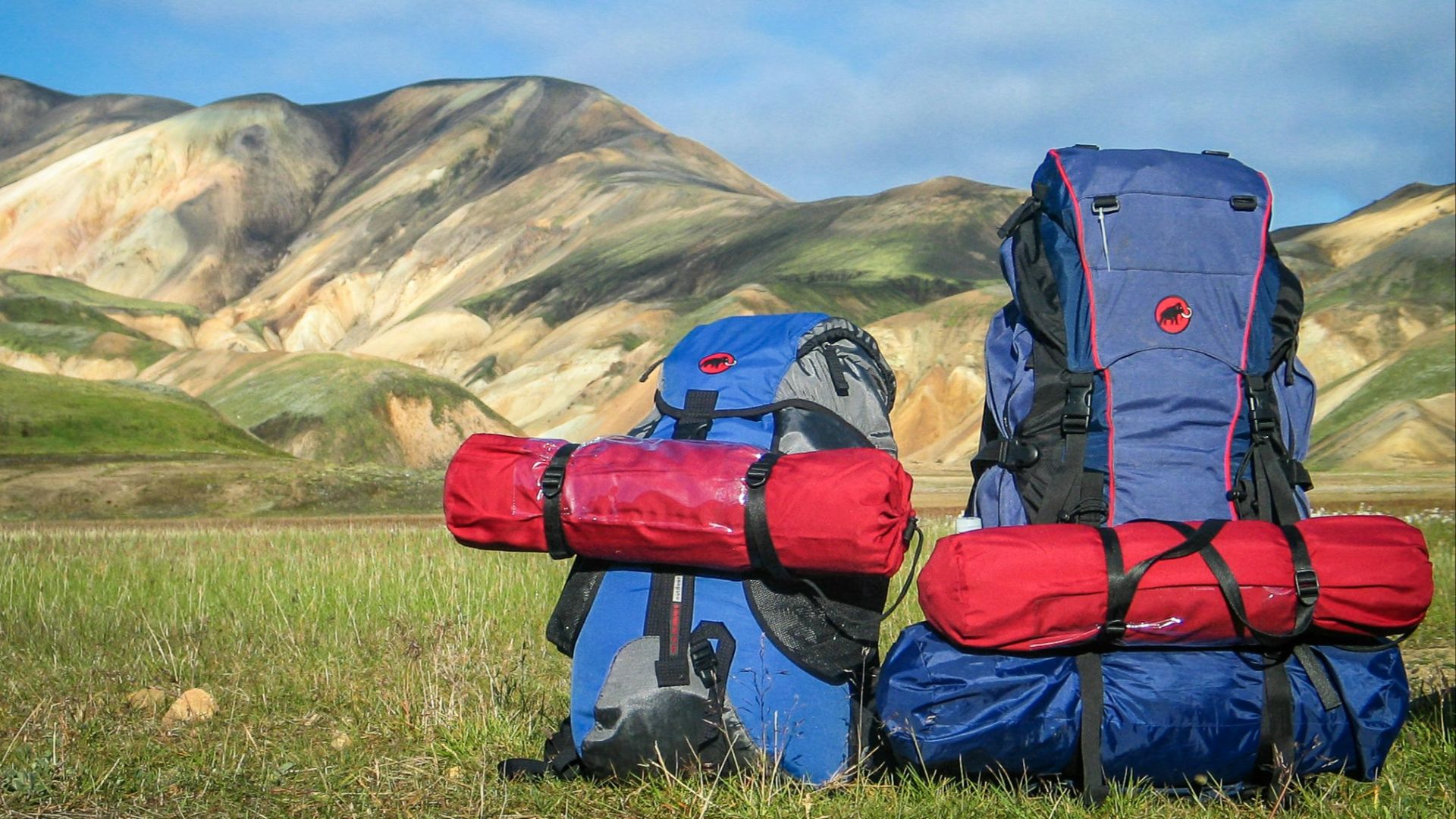 hiking backpacks on grass with mountains background