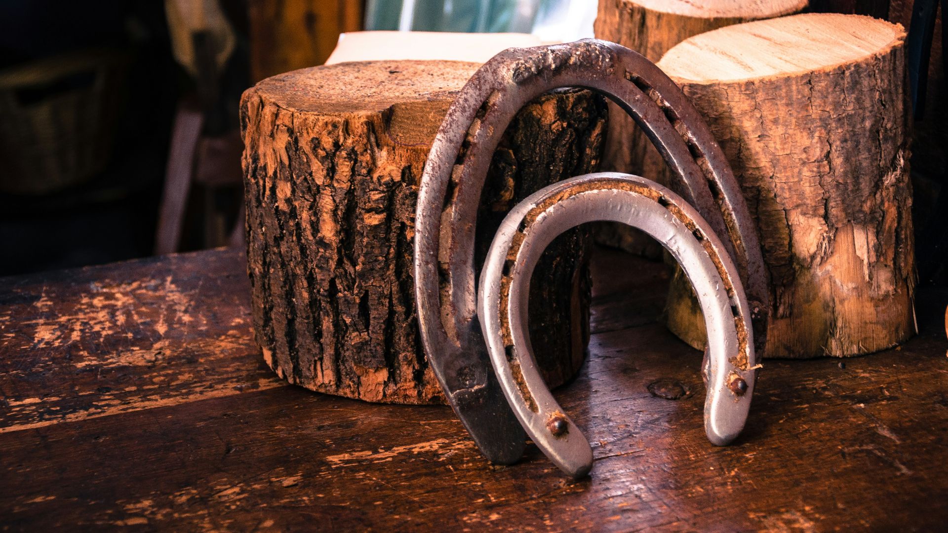 closeup photo of two gray horseshoes