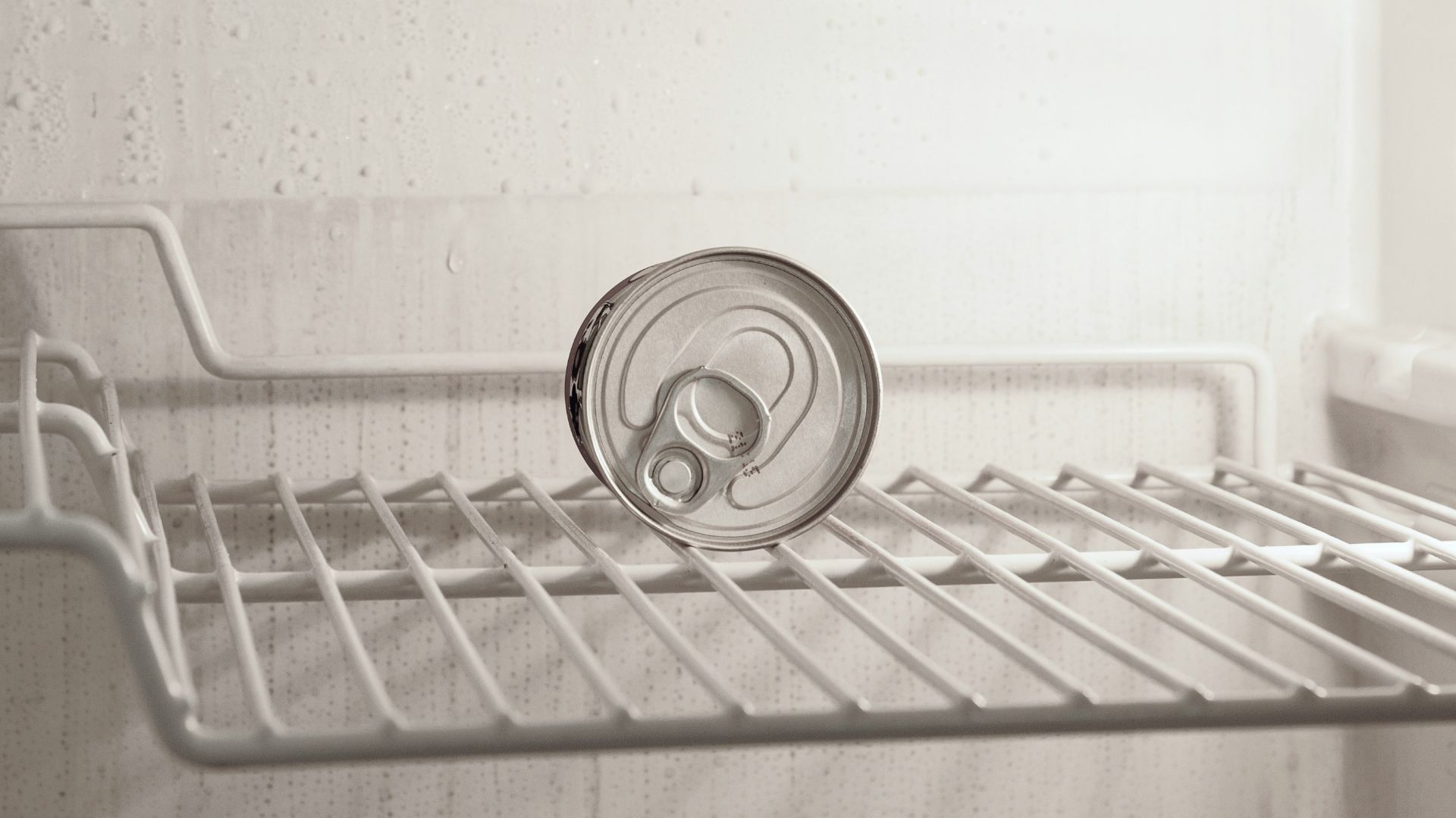 beverage can in refrigerato