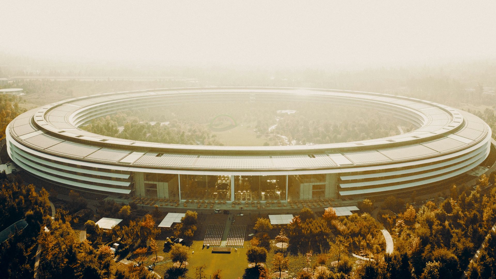 aerial view of trees and buiding