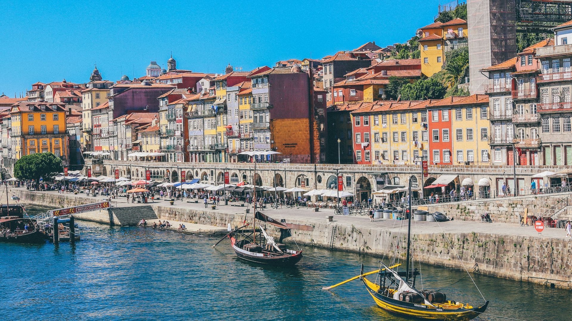 boats docked near seaside promenade]