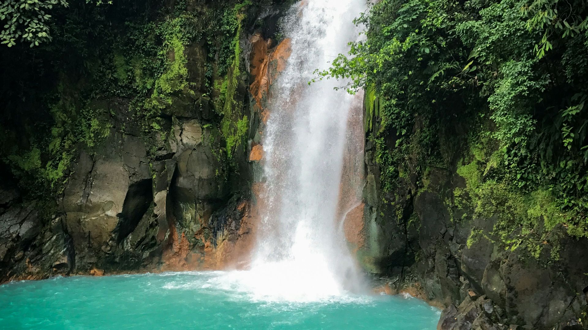 waterfalls in the middle of the forest during daytime