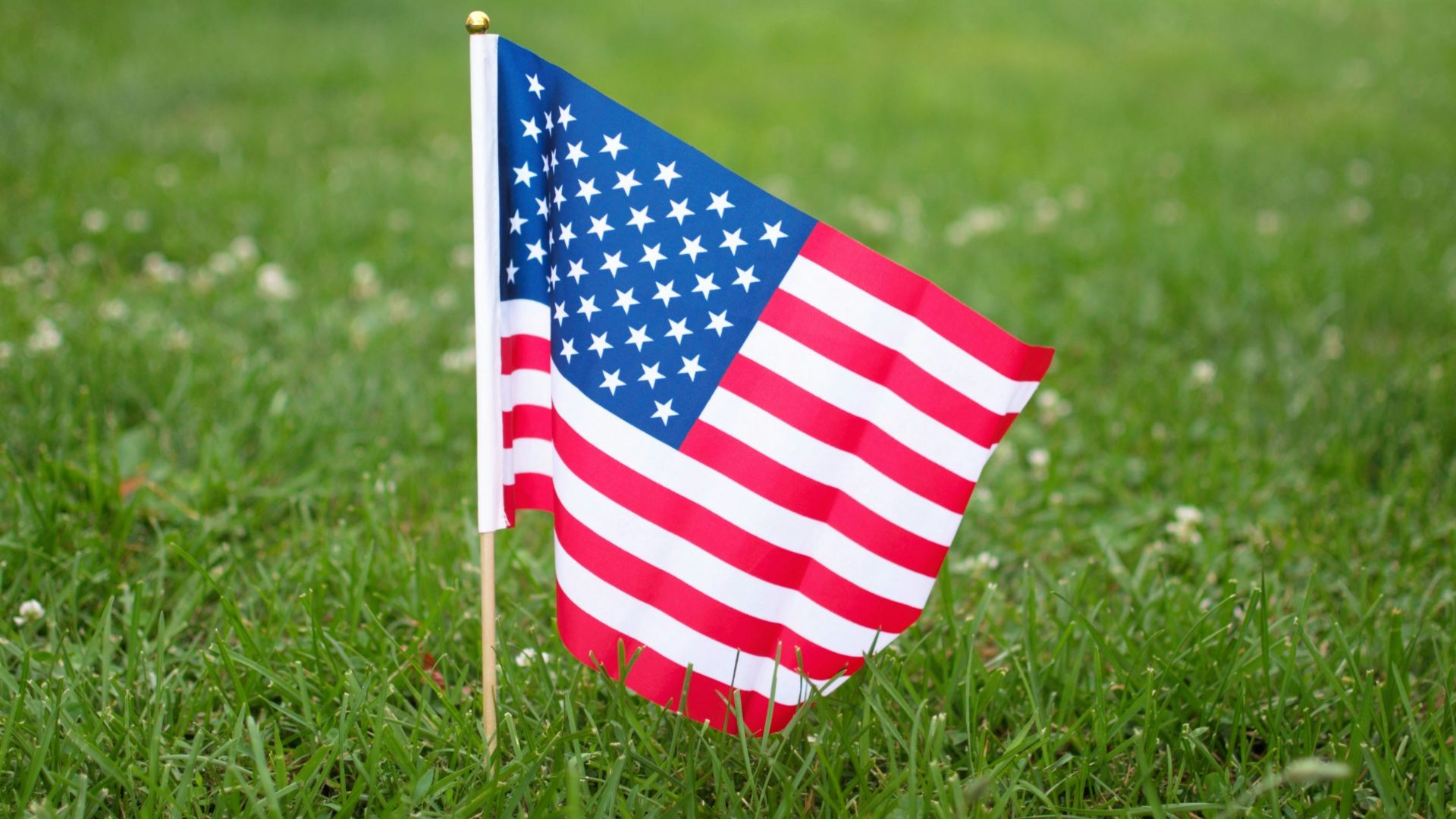 USA flag on green grass