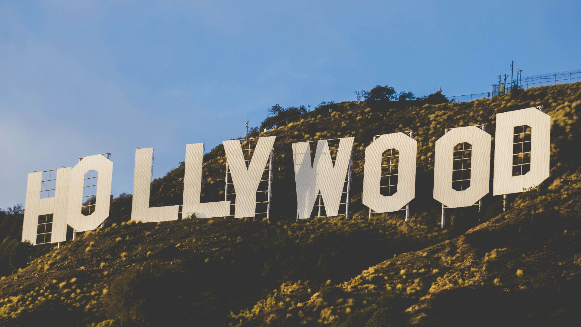 white wooden fence on green grass field