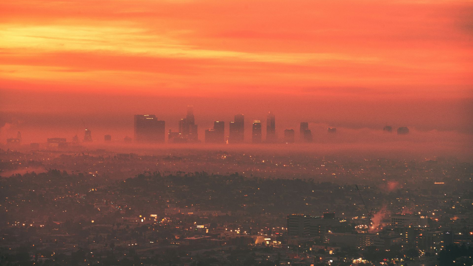city skyline during night time