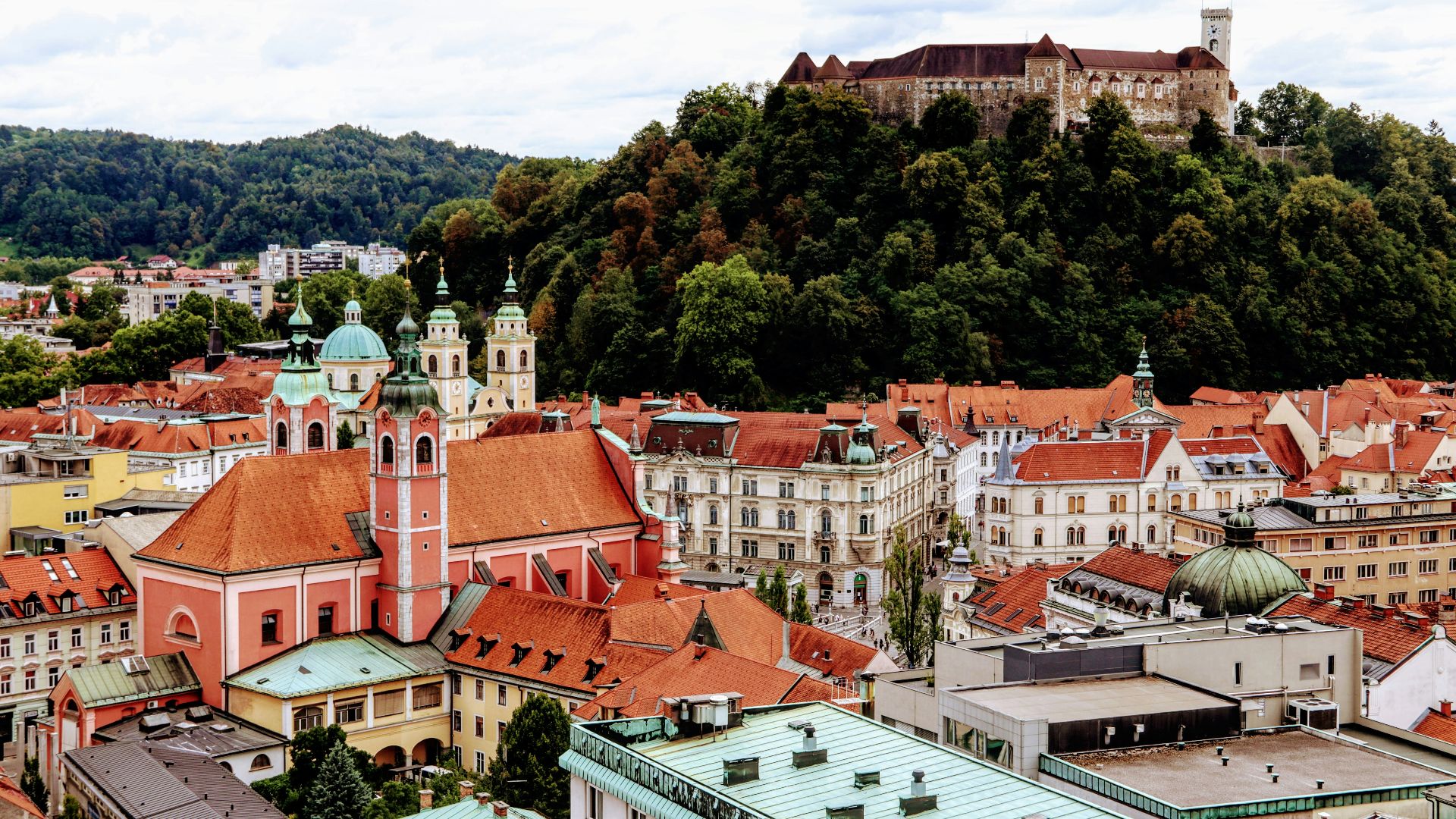 white and brown concrete houses near green trees during daytime