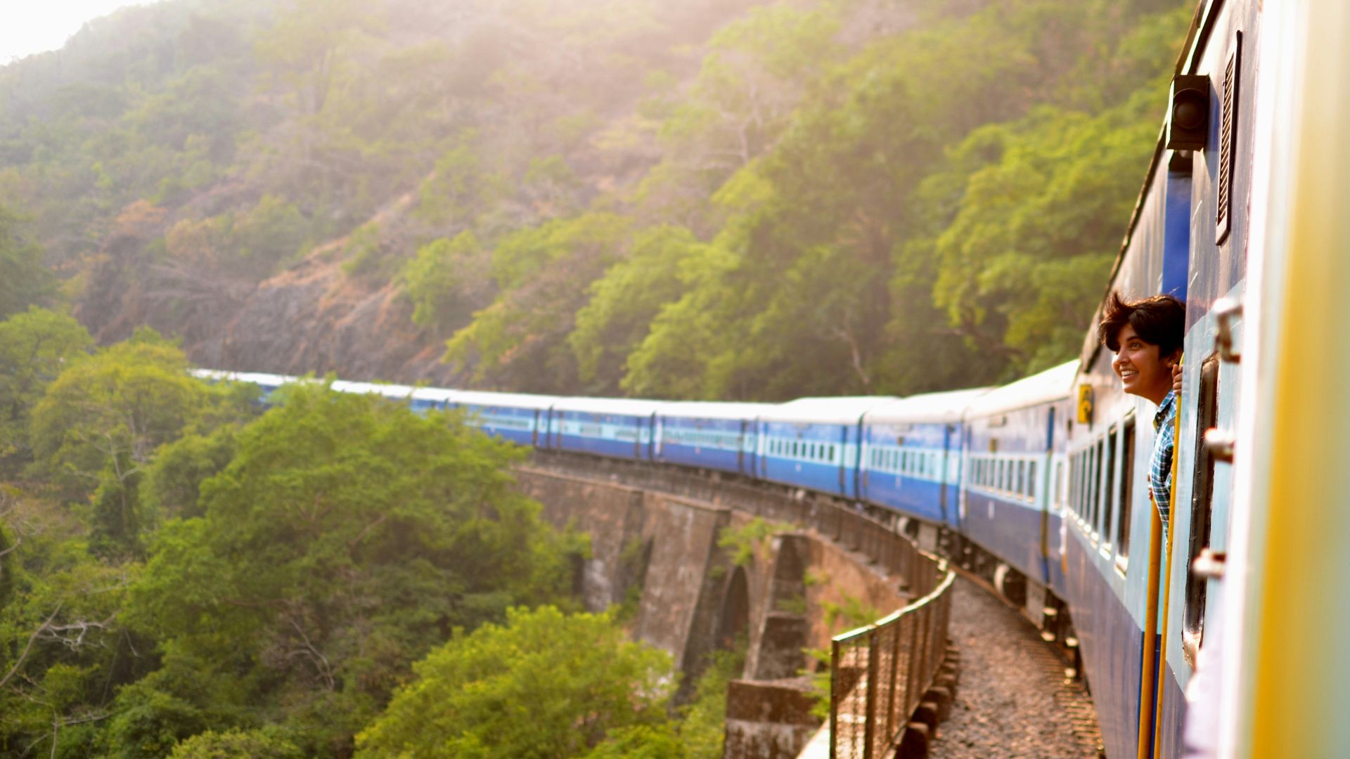 moving train near trees