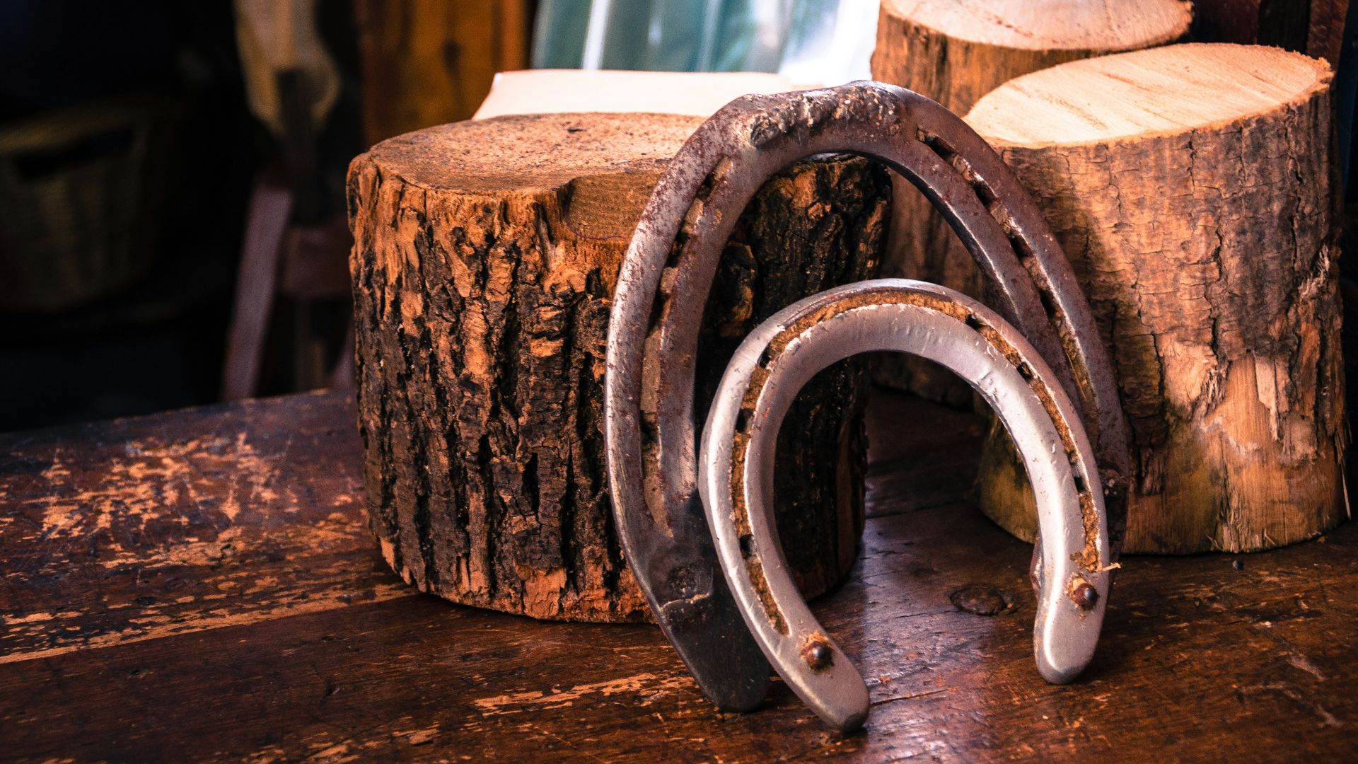 closeup photo of two gray horseshoes