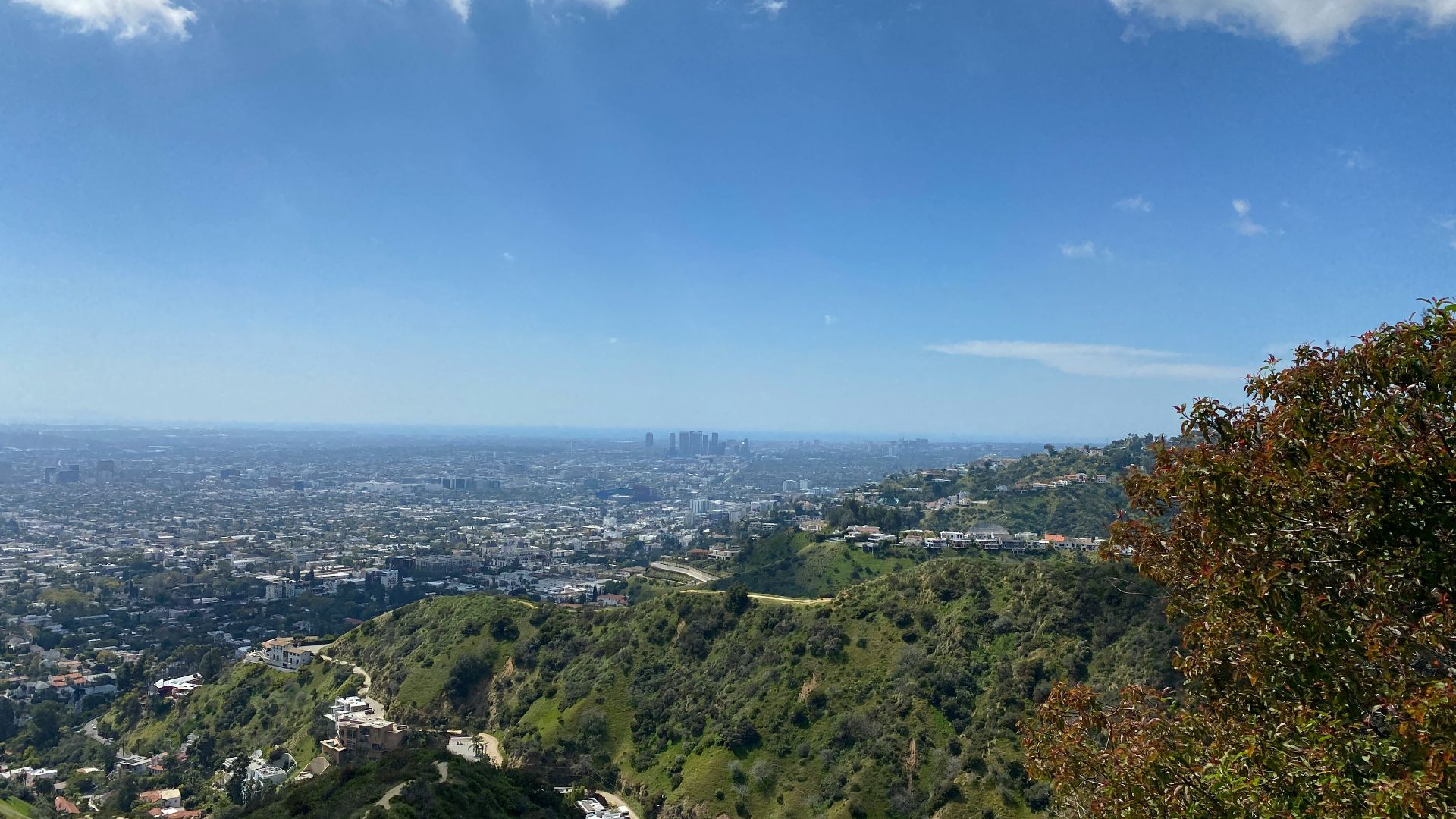 A scenic view of a city from a hill