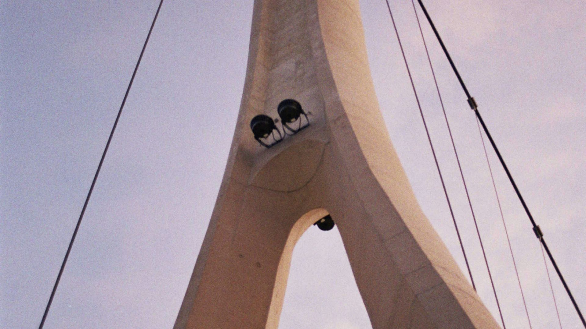 a couple of birds sitting on top of a tall structure
