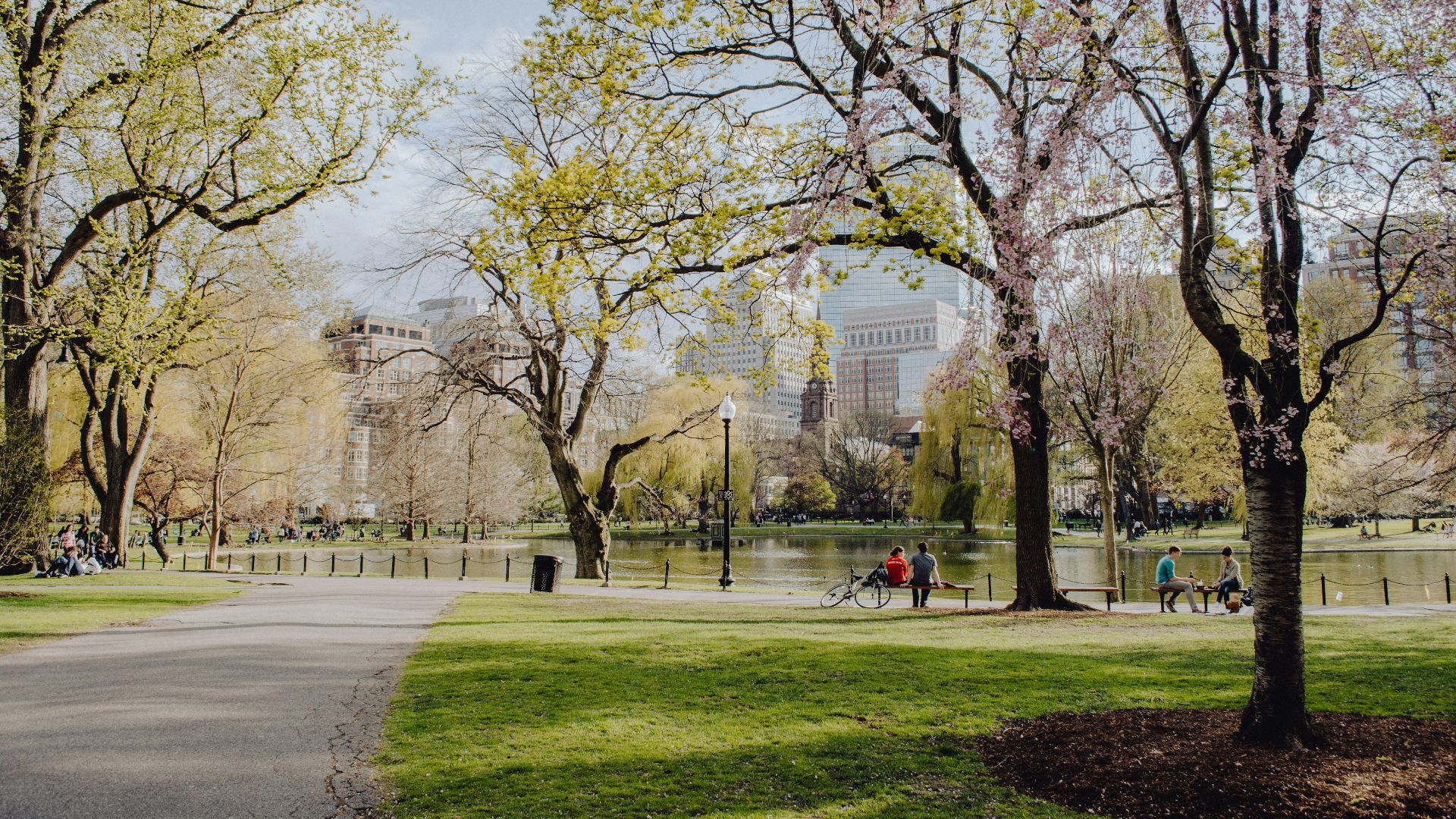 people walking on park during daytime