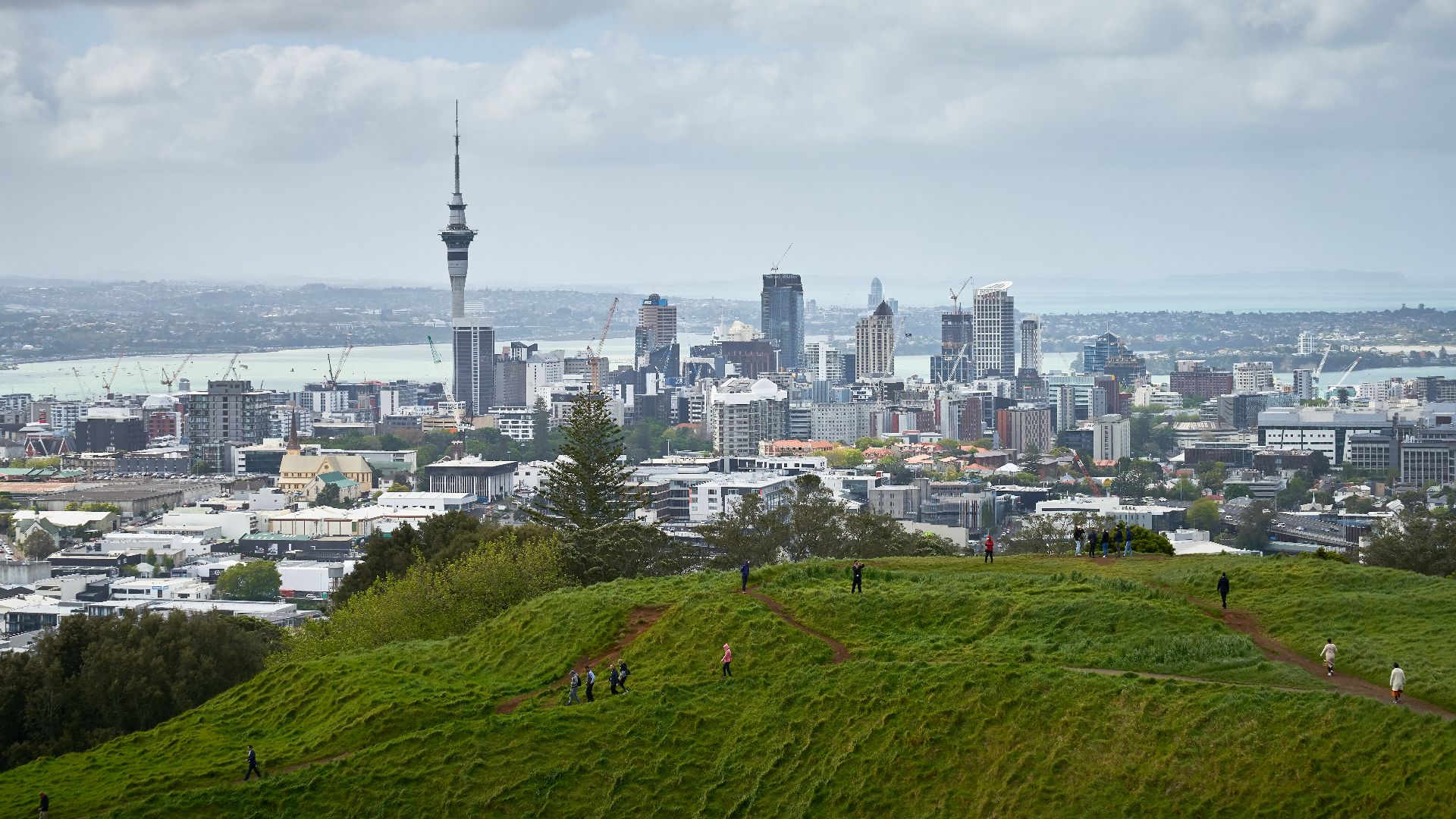 File:Auckland, New Zealand (49152589687).jpg