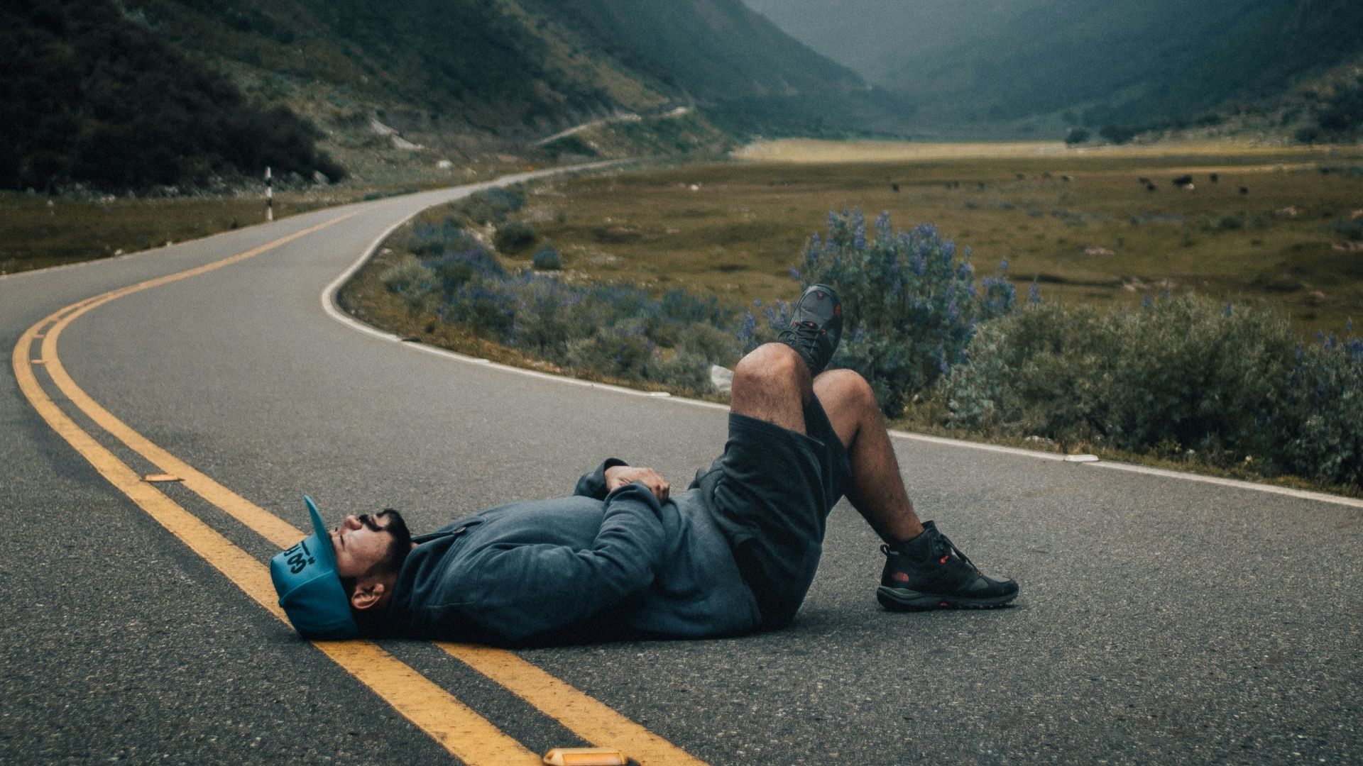 man lying on black concrete top road near green leafed plants