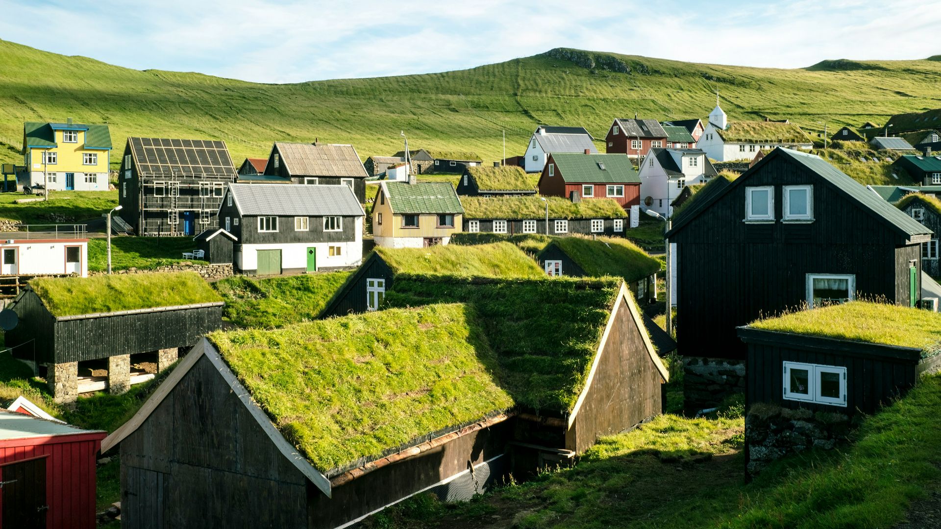 brown and white houses on green grass field during daytime