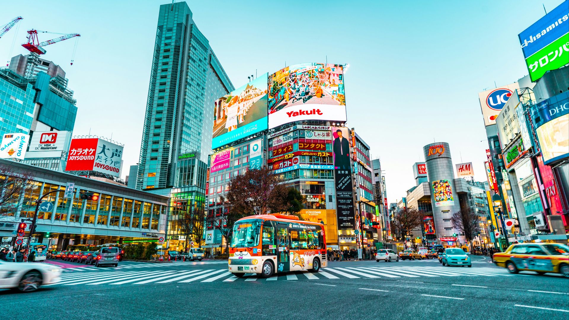 white and red buss on the middle of crossing street photo