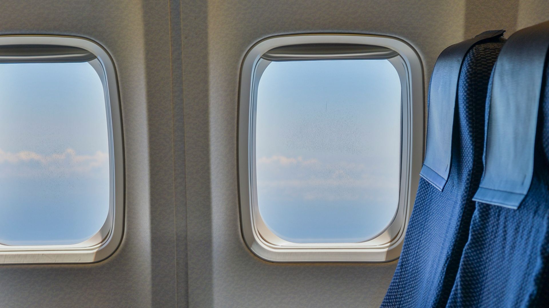 blue and black bus seat