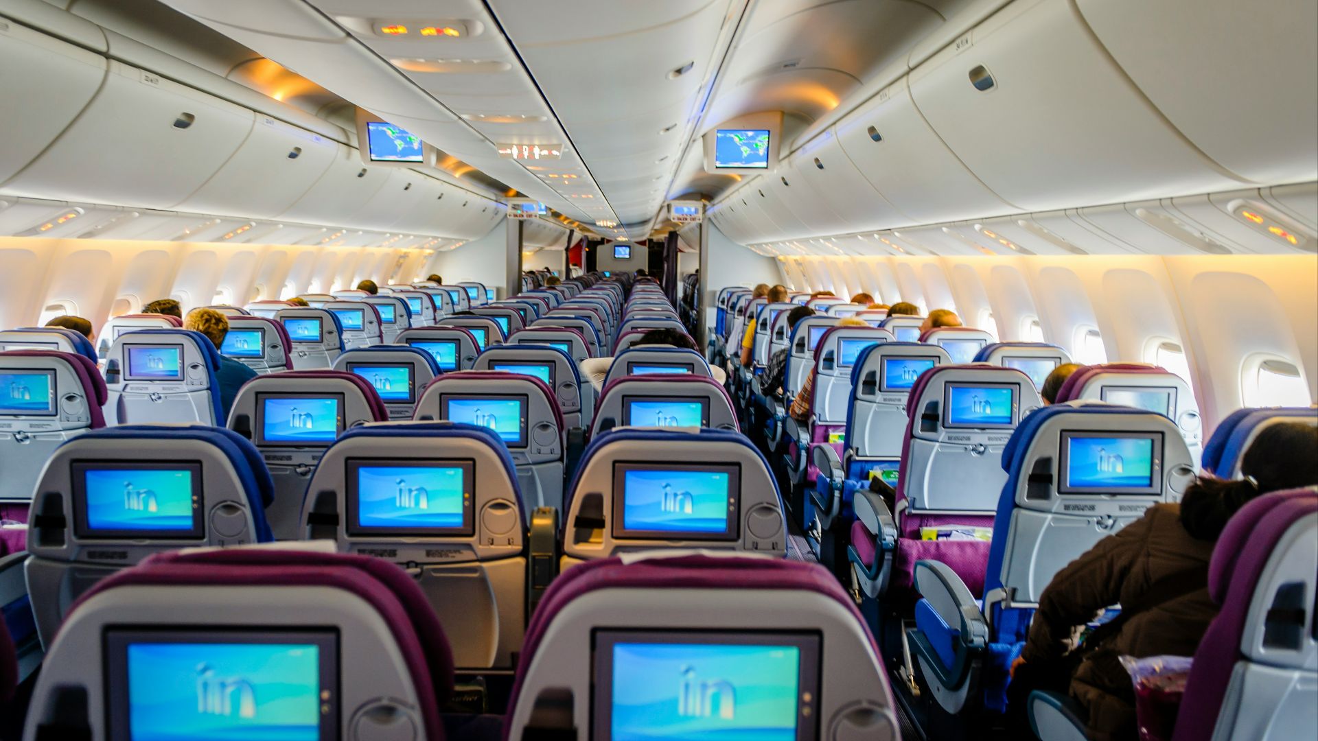 blue and white airplane seats