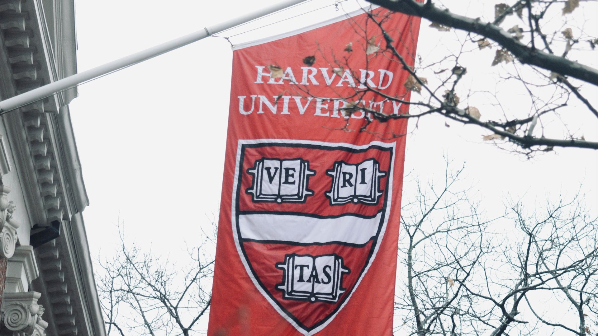 Harvard University banner