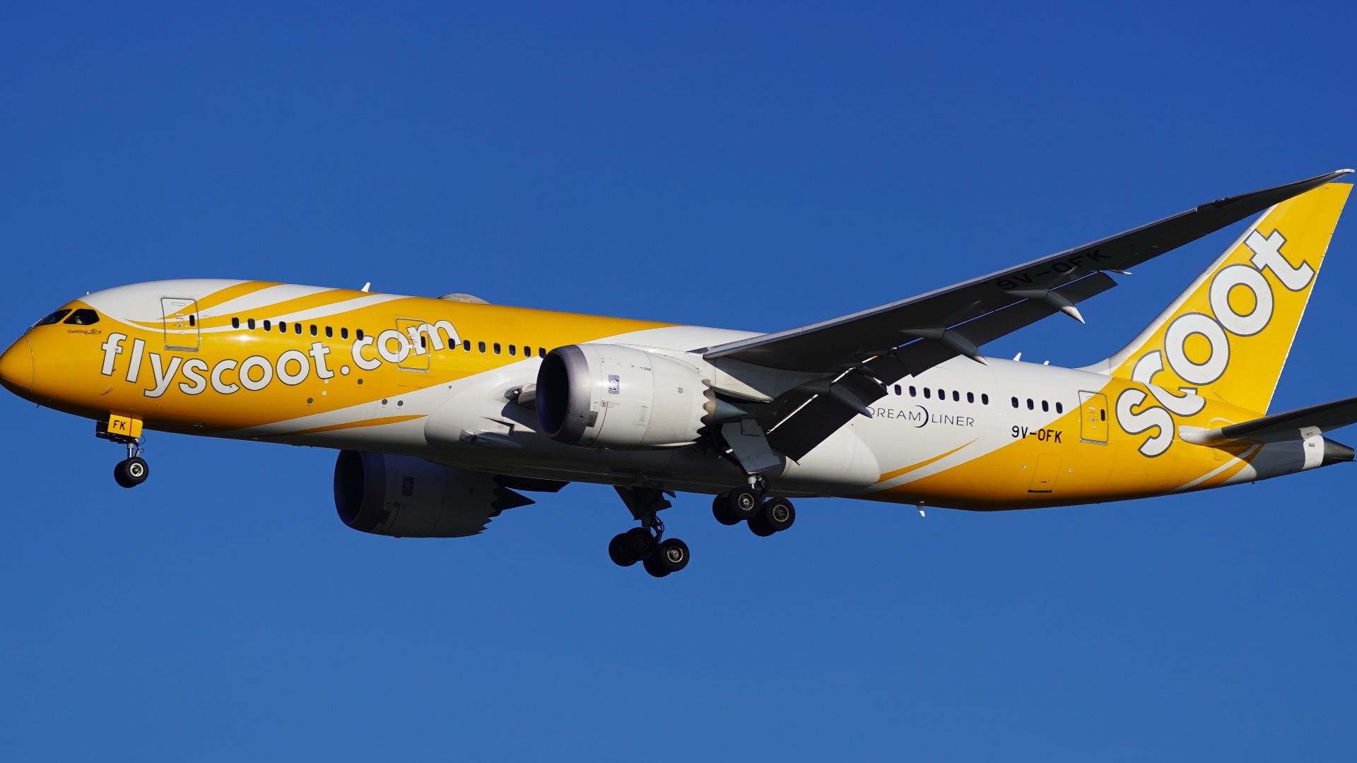 File:Berlin Brandenburg Airport Scoot Boeing 787-8 Dreamliner 9V-OFK (DSC05998).jpg