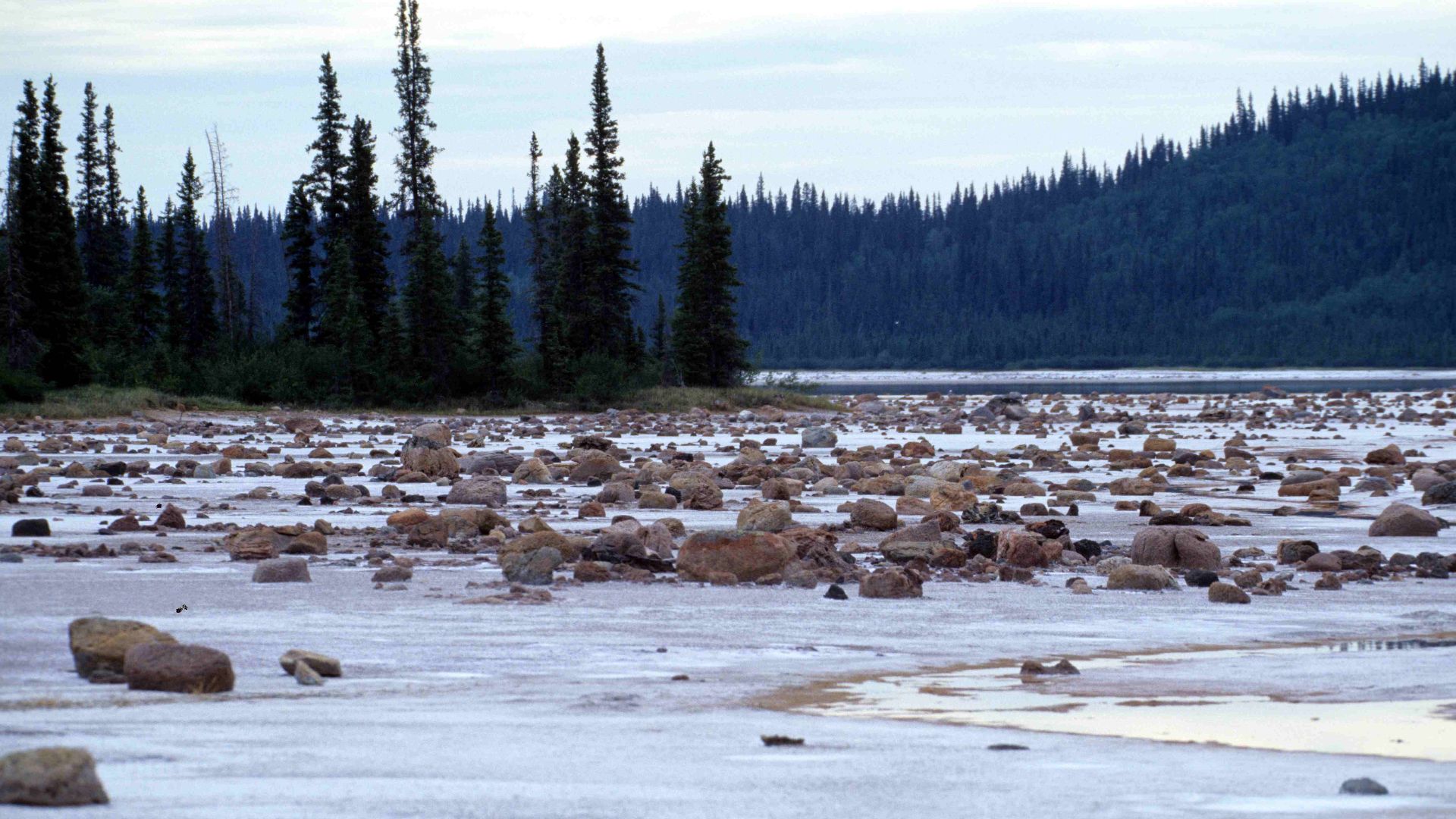 File:Wood-Buffalo-NP Gros Beak Lake 2 98-07-02.jpg