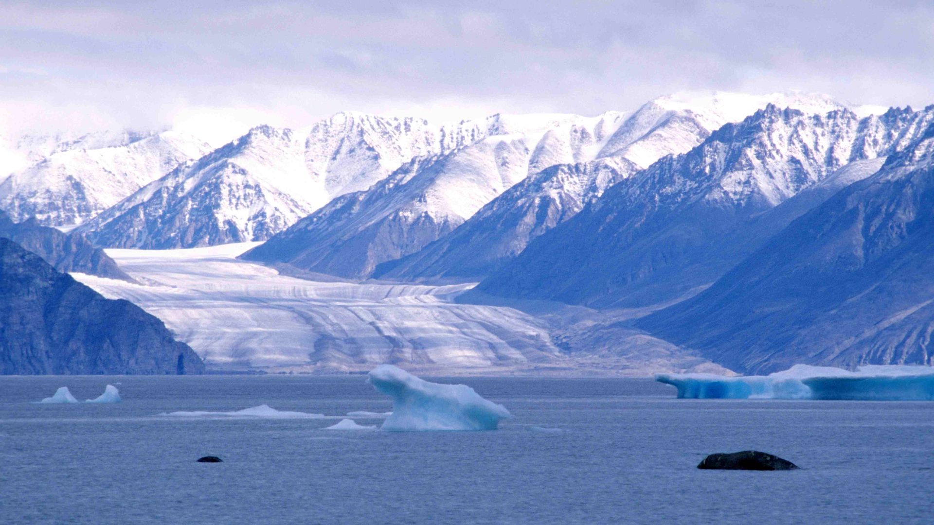 File:Kaparoqtalik Glacier 1 1997-08-06.jpg
