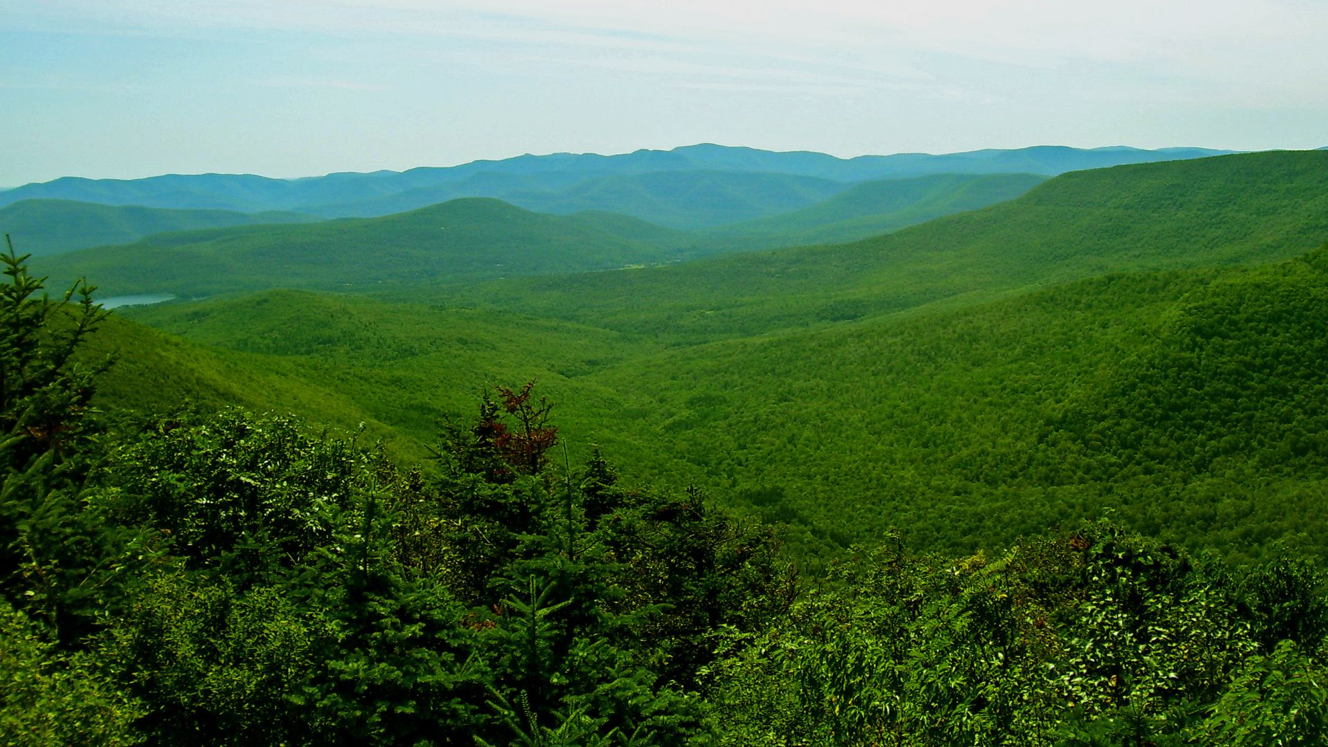 File:Central Catskills from Twin south summit.jpg