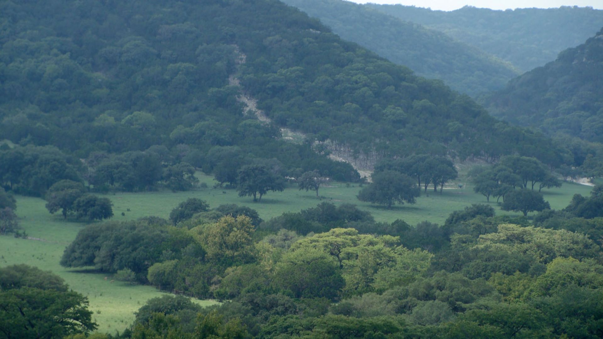 File:Texas Hill Country 187N-2.JPG
