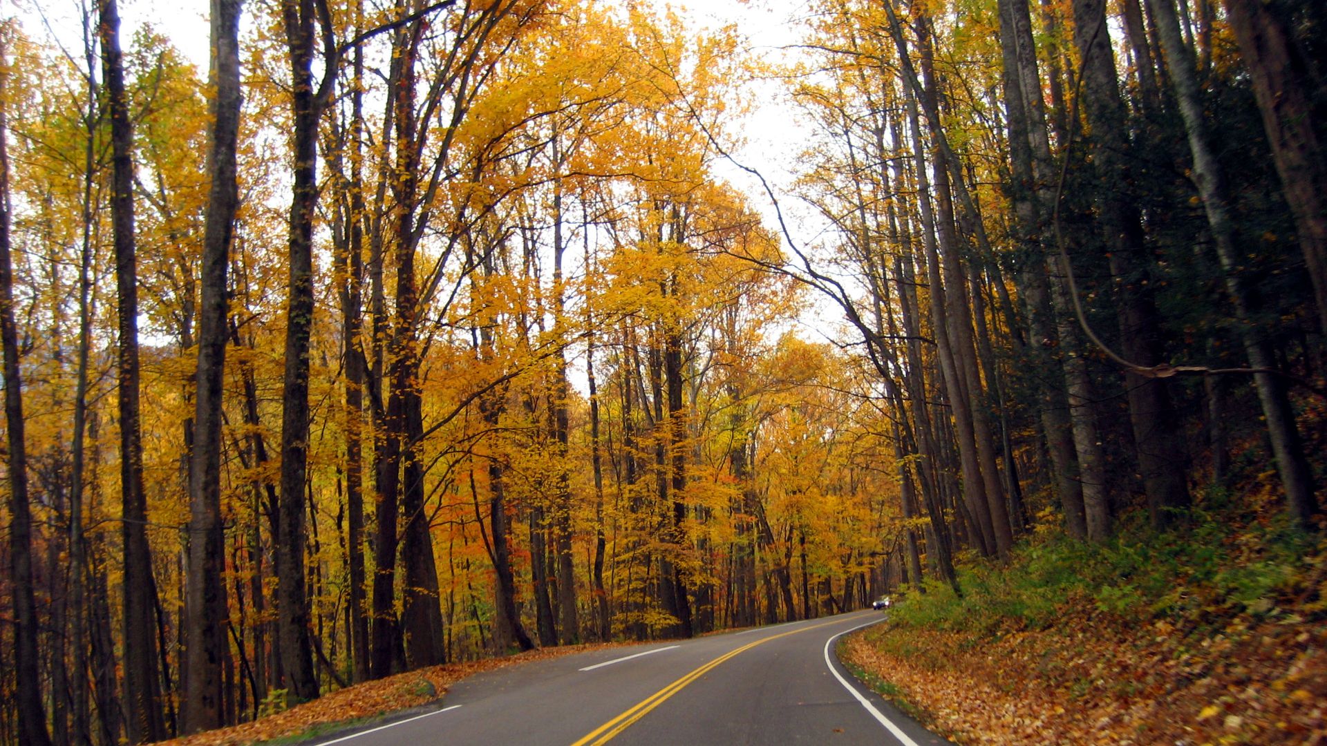 File:Great Smoky Mountains National Park in Autumn.jpg