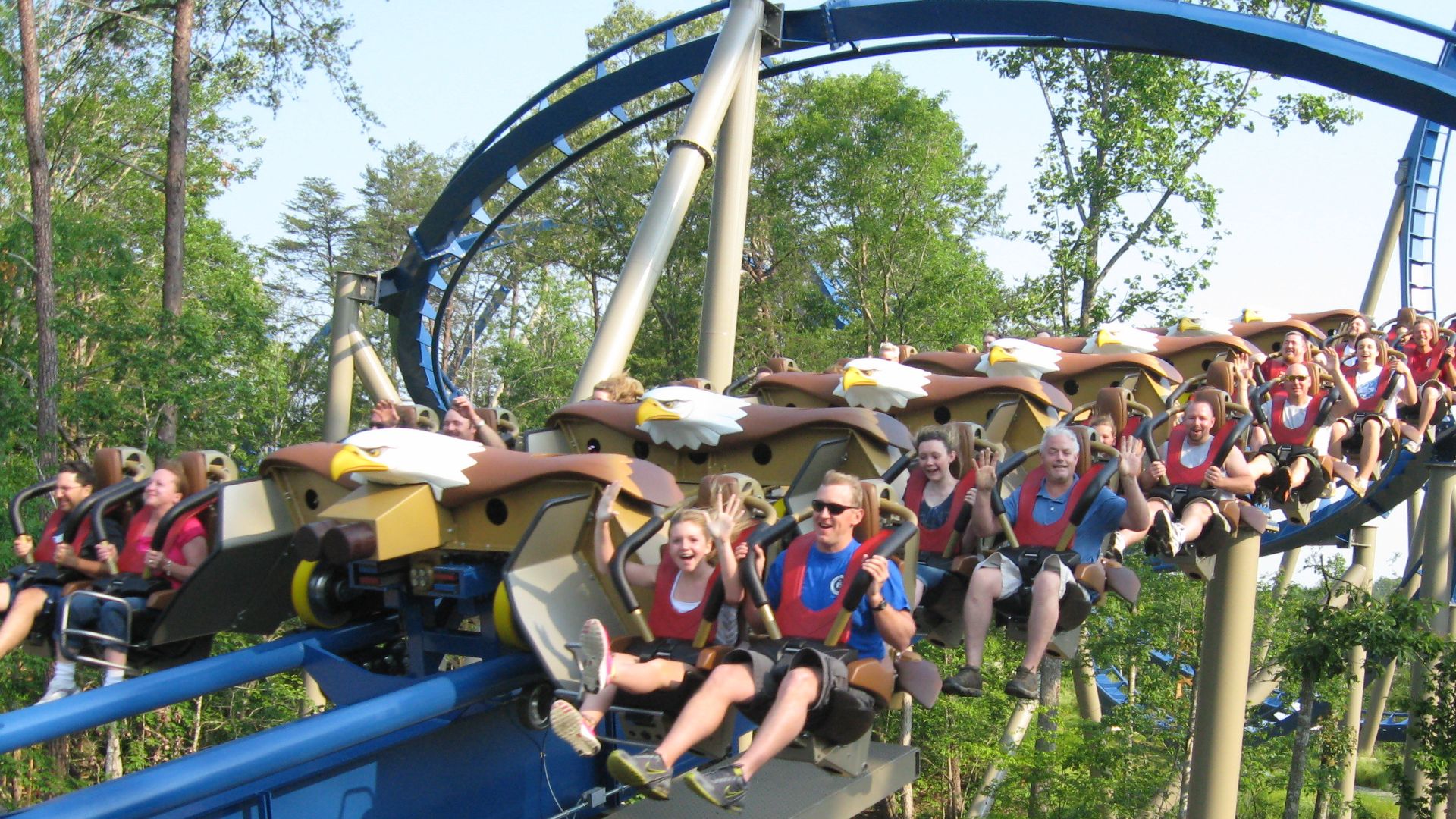 File:DW Wild Eagle.JPG