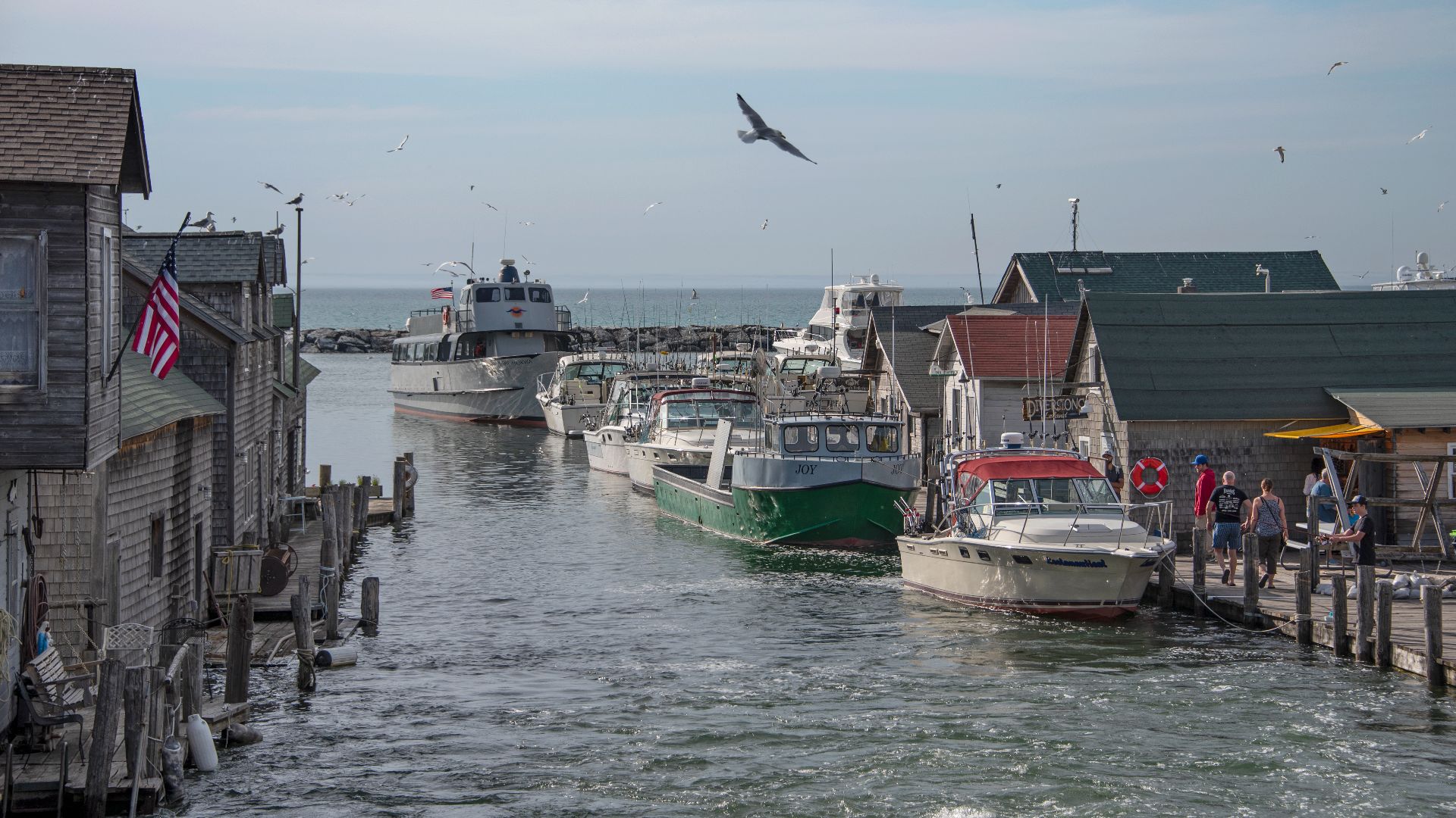 File:Fishtown, on Lake Michigan along M-22 in Leelanau County, MI, at Leland 06-08-2019 036 - Flickr - Richard Hurd.jpg