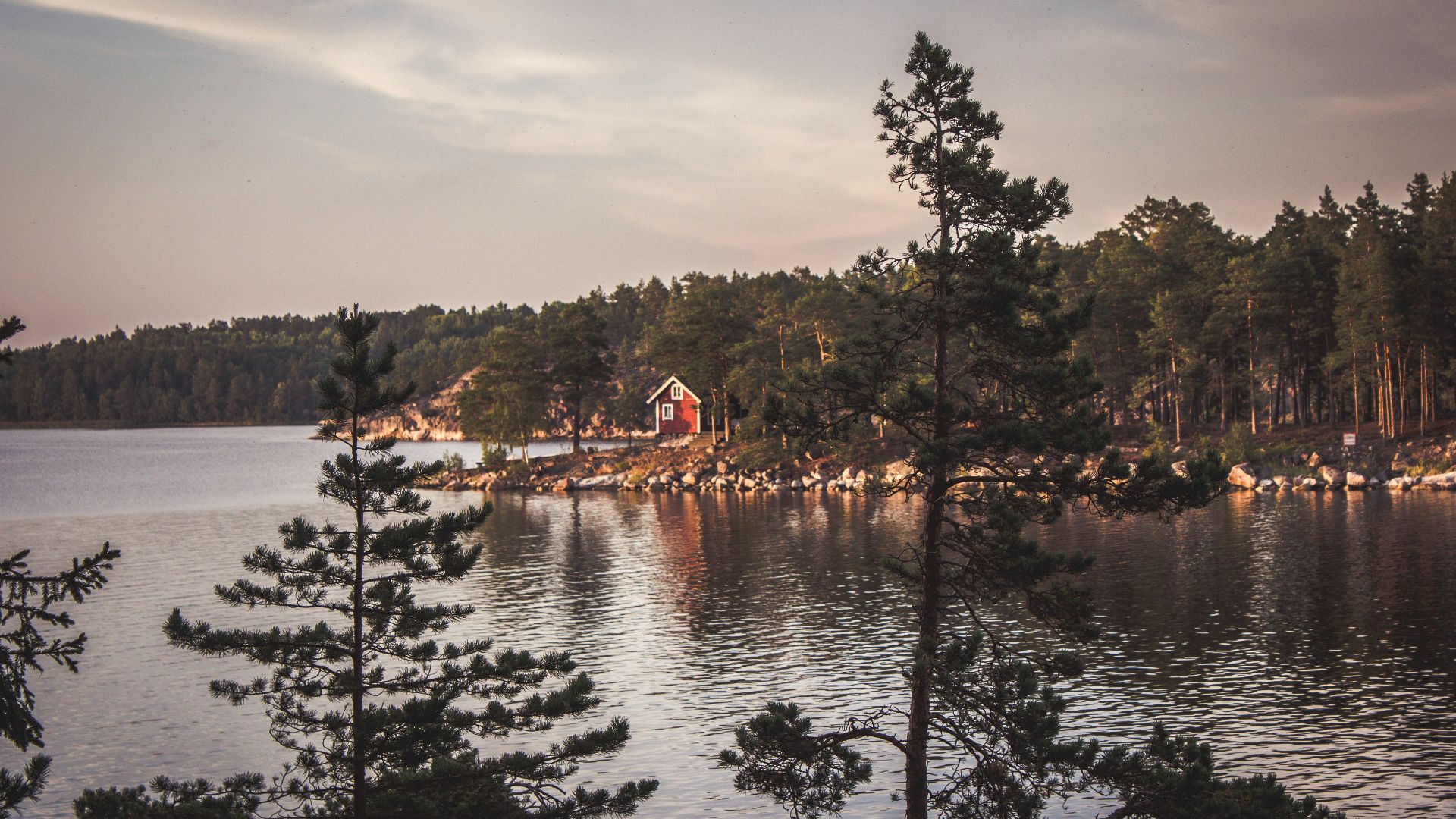 landscape photograph of body of water near forest